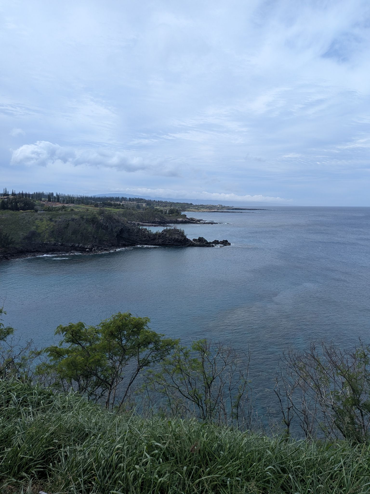 PXL 20260302 214523092