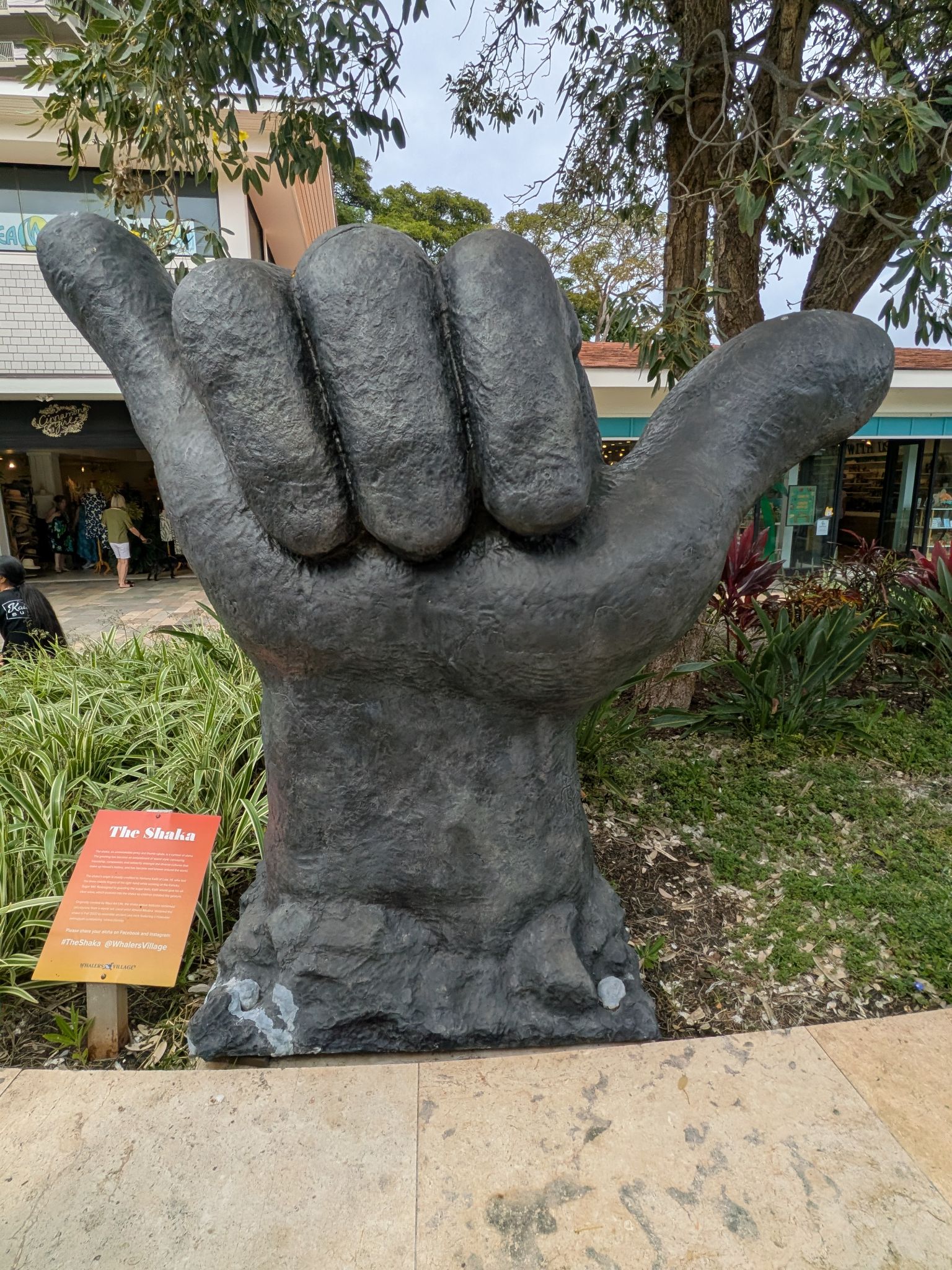 PXL 20260303 005409866