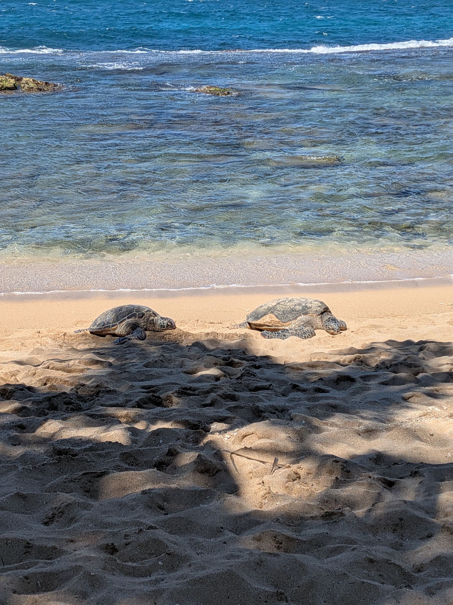 PXL 20260303 233843135.MP