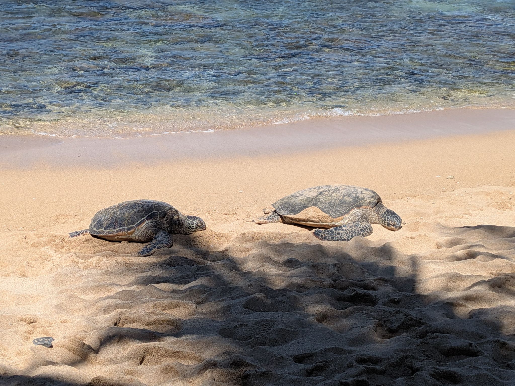 PXL 20260303 233851236