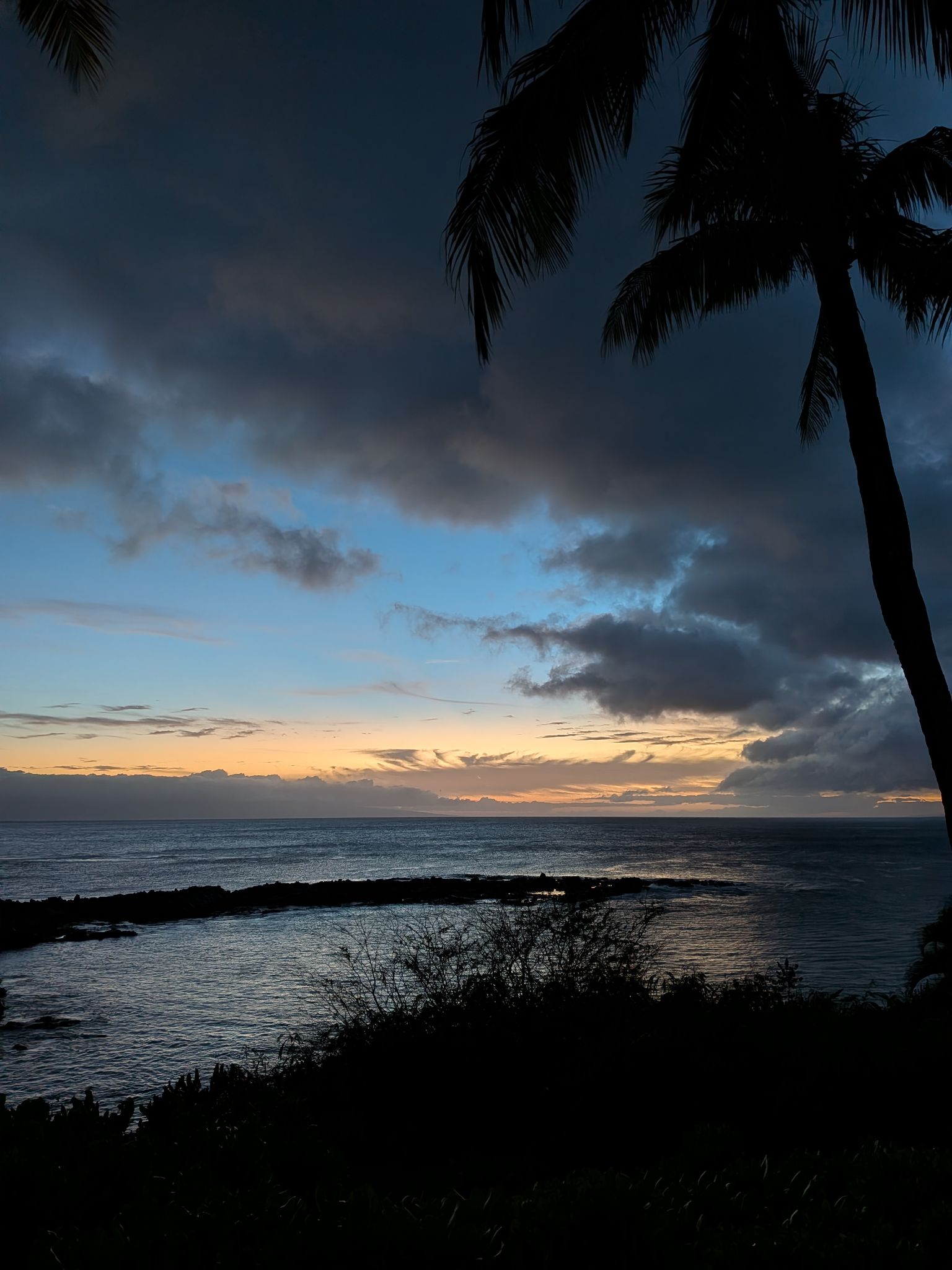 PXL 20260304 045633522