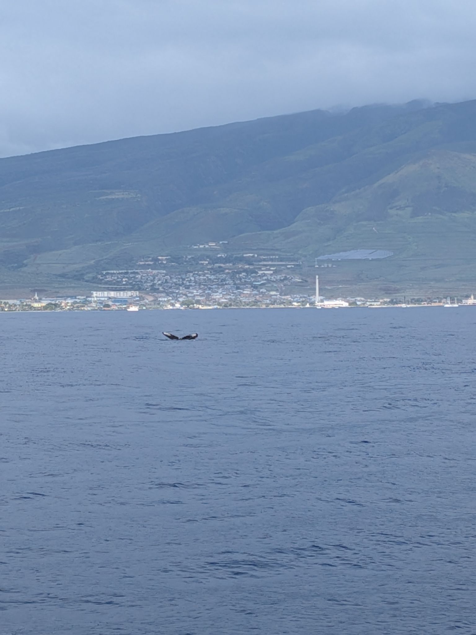 PXL 20260305 020623858