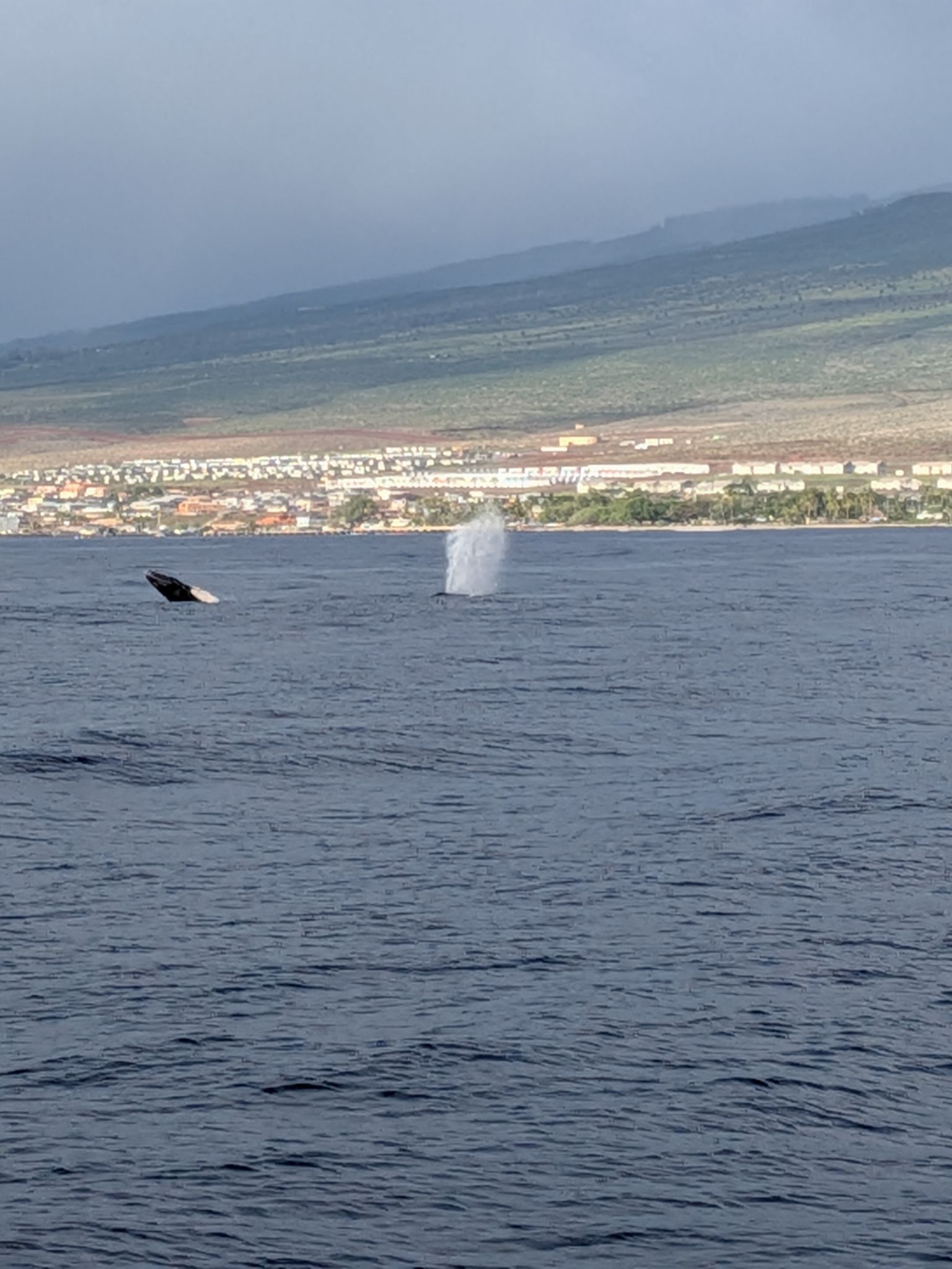 PXL 20260305 032301089