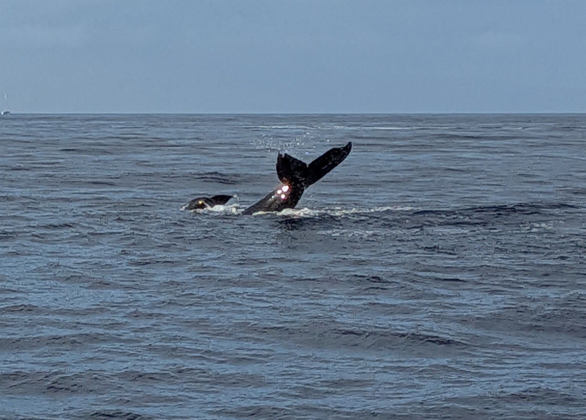 PXL 20260305 032638158