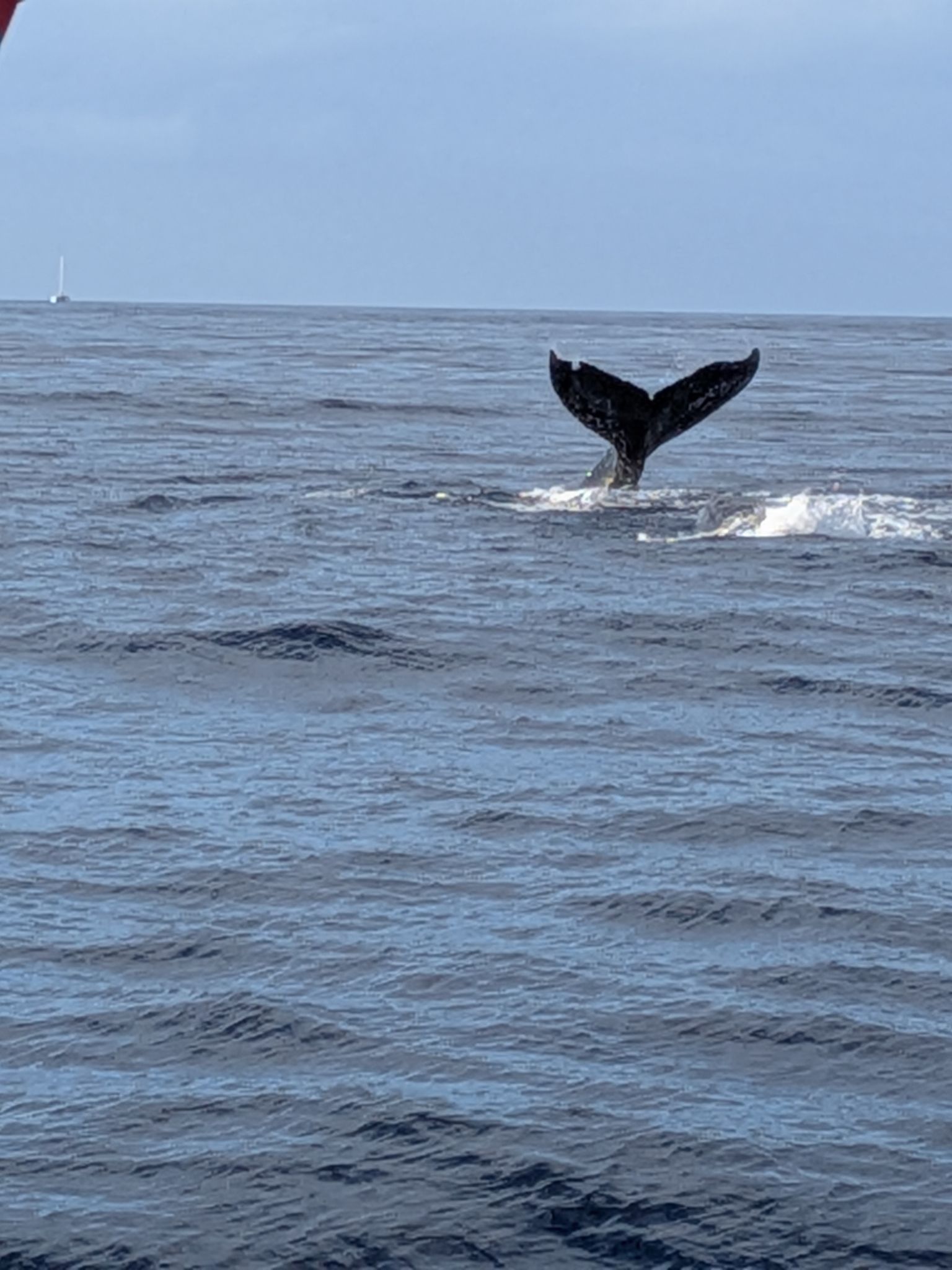 PXL 20260305 032647297