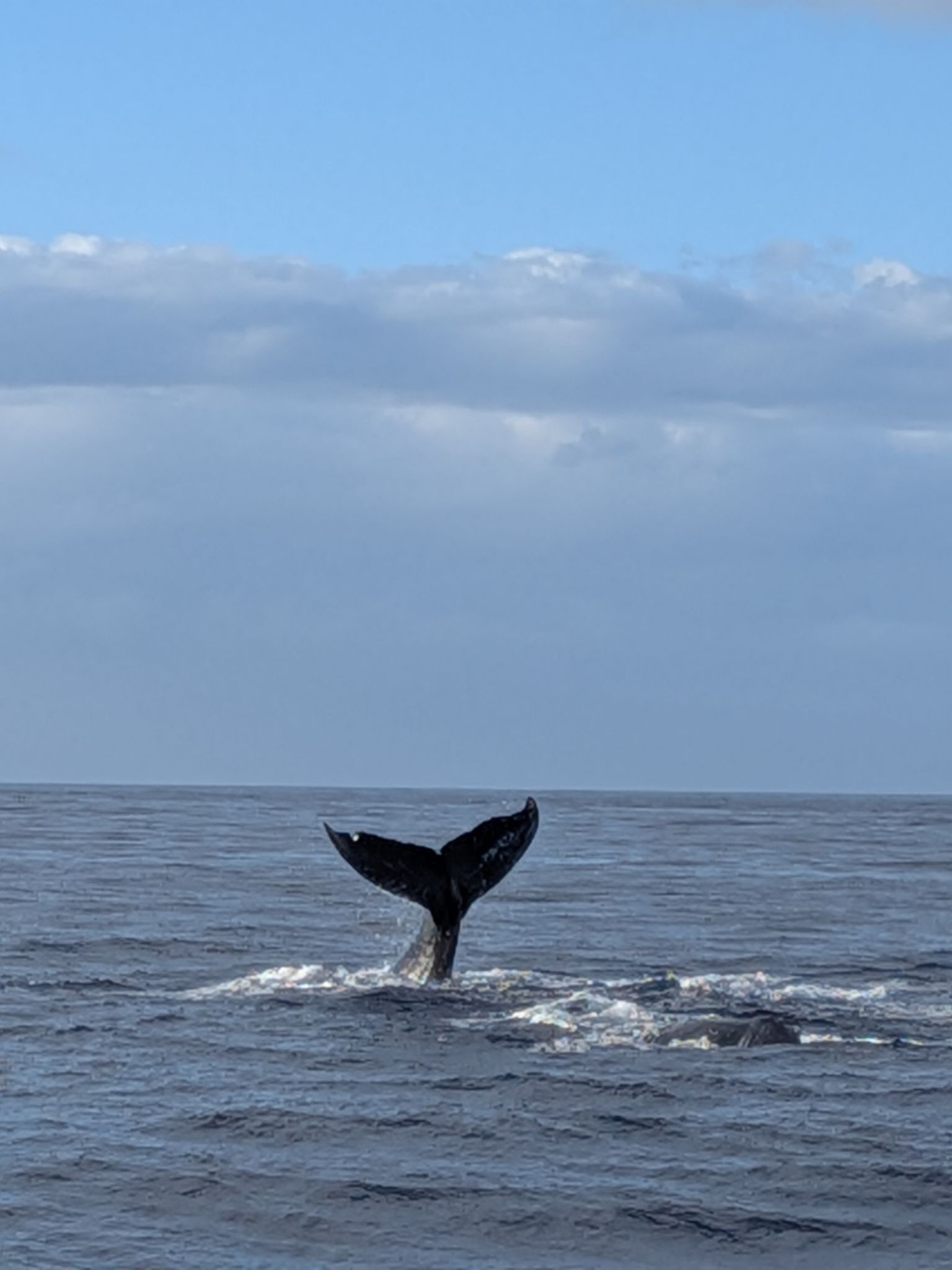 PXL 20260305 032650434