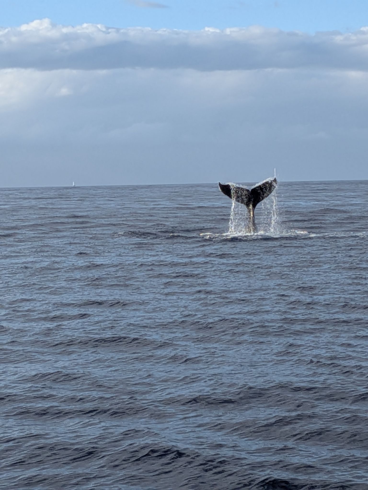 PXL 20260305 032802777.MP