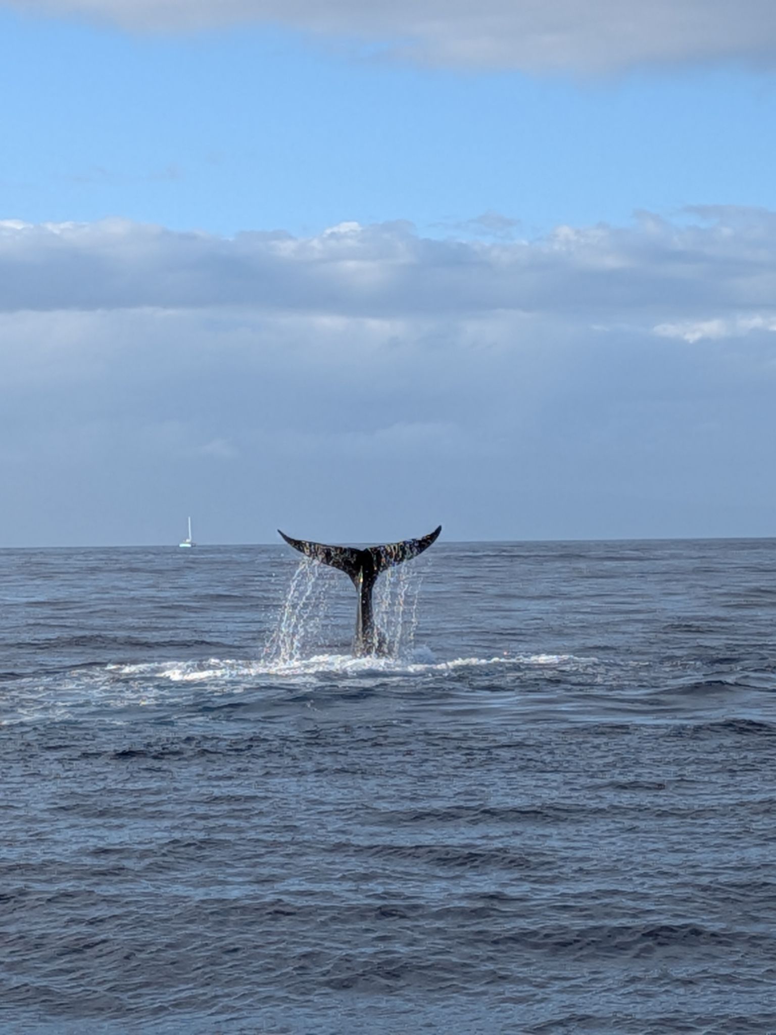 PXL 20260305 032824514.MP