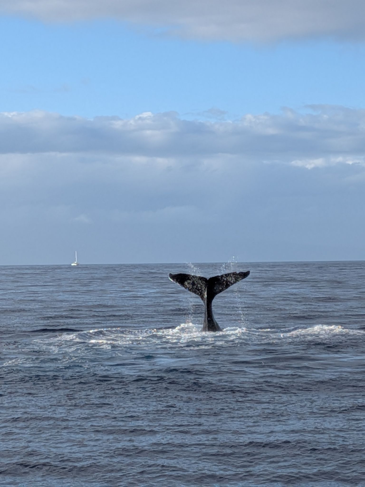 PXL 20260305 032828929