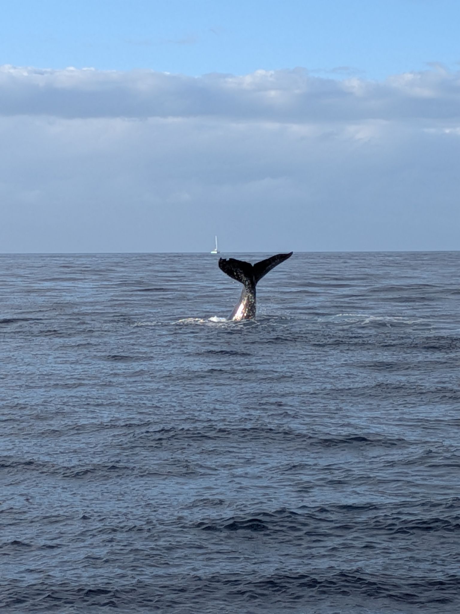 PXL 20260305 032919504.MP