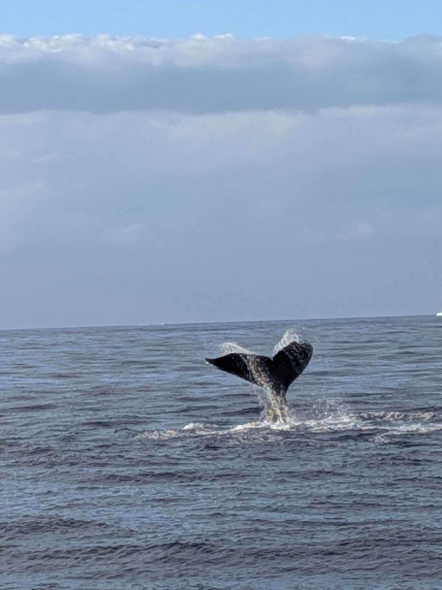 PXL 20260305 032933339.MP