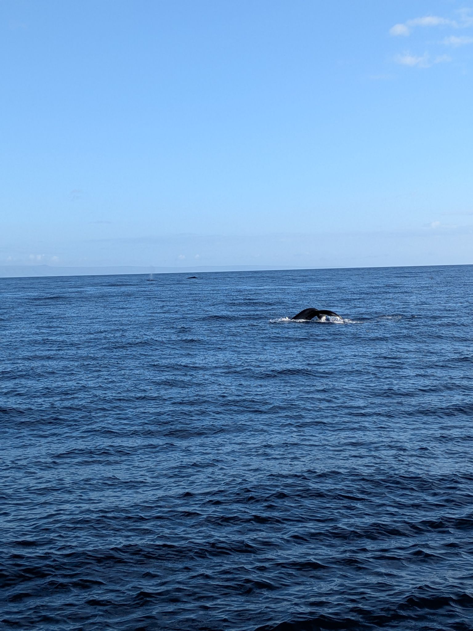 PXL 20260305 033400798