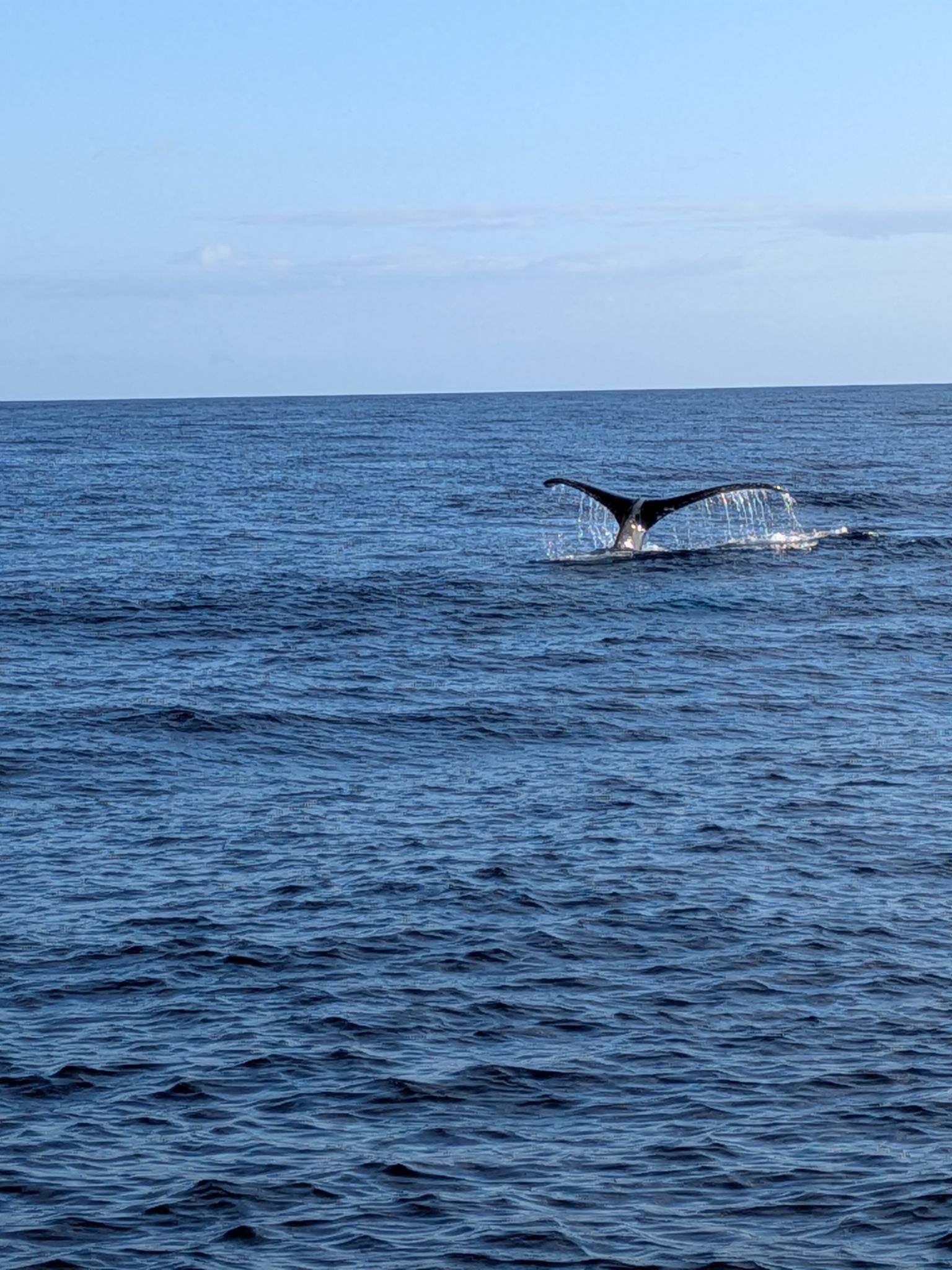 PXL 20260305 033426965