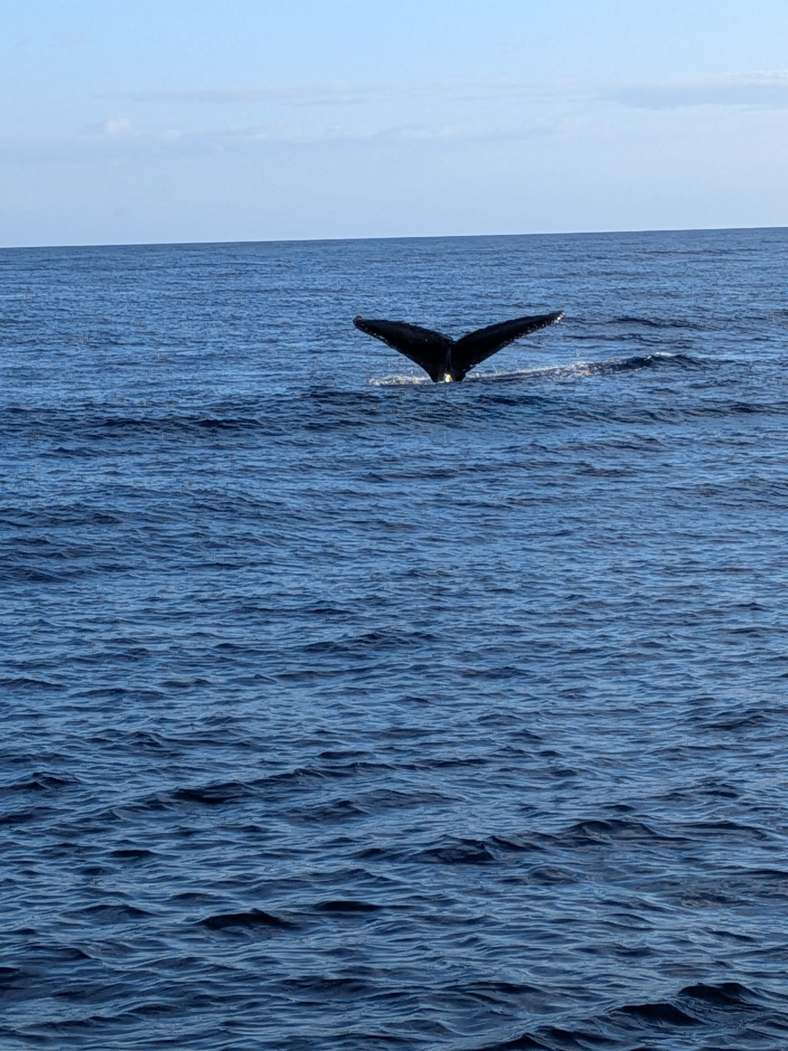 PXL 20260305 033427412