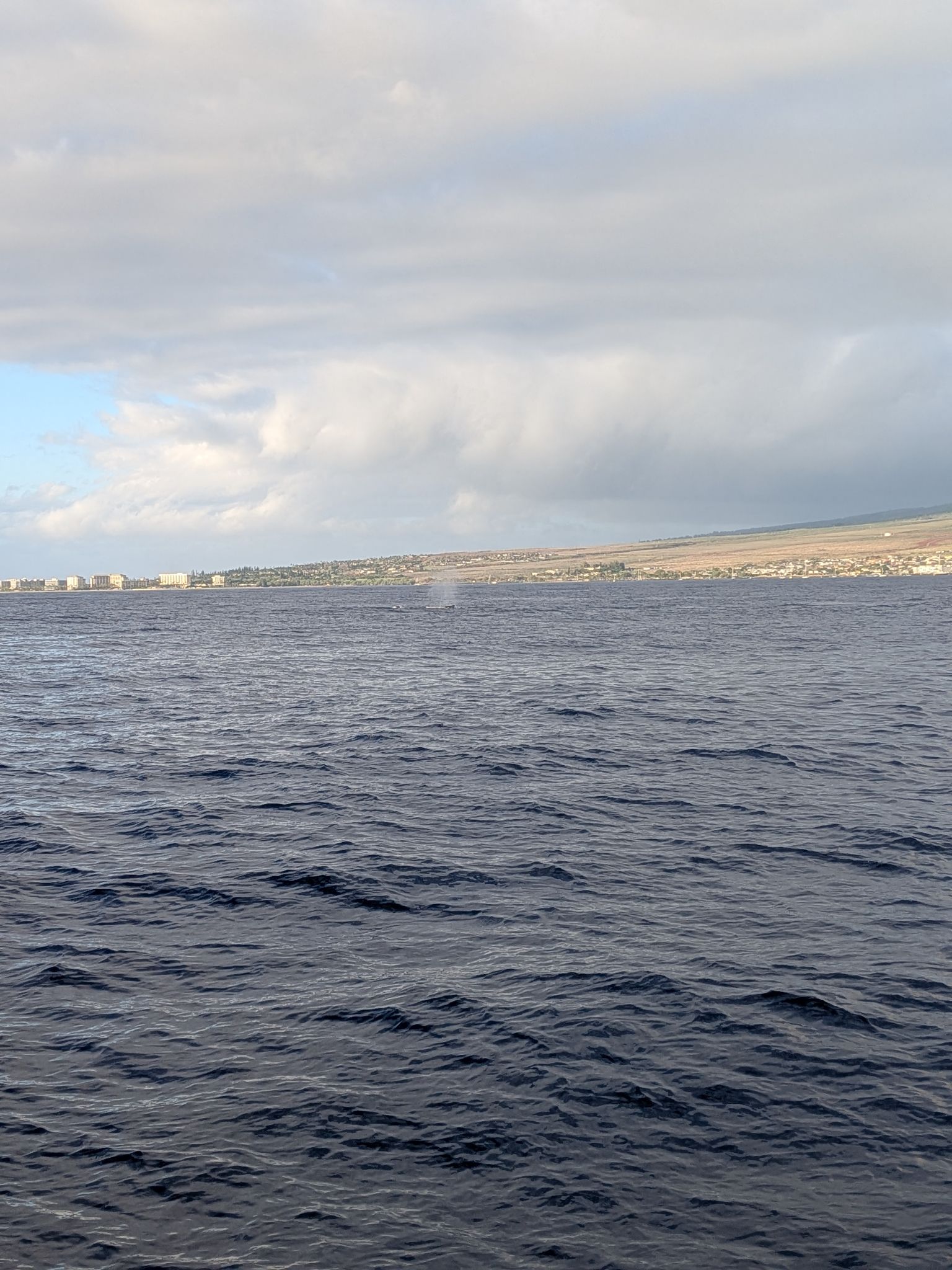 PXL 20260305 034043175.MP