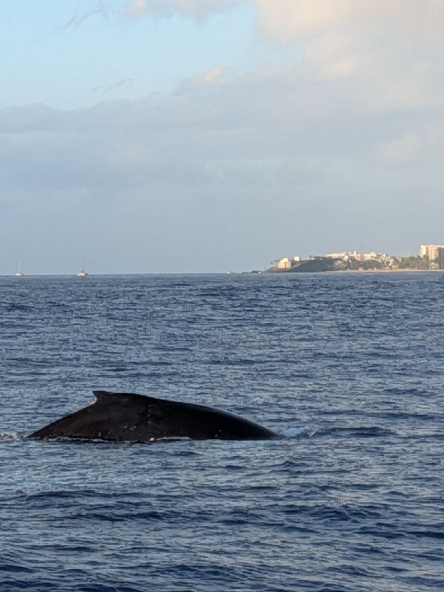 PXL 20260305 035902805