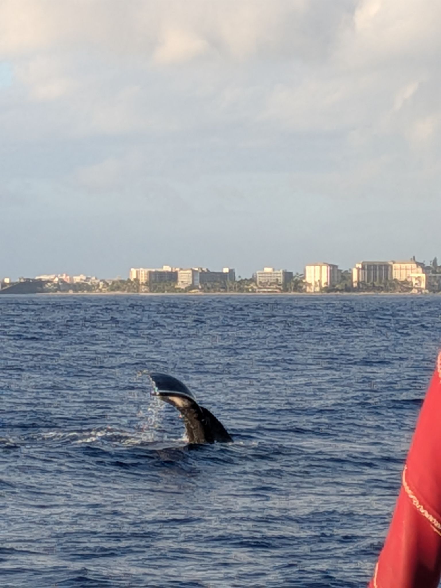 PXL 20260305 035906274