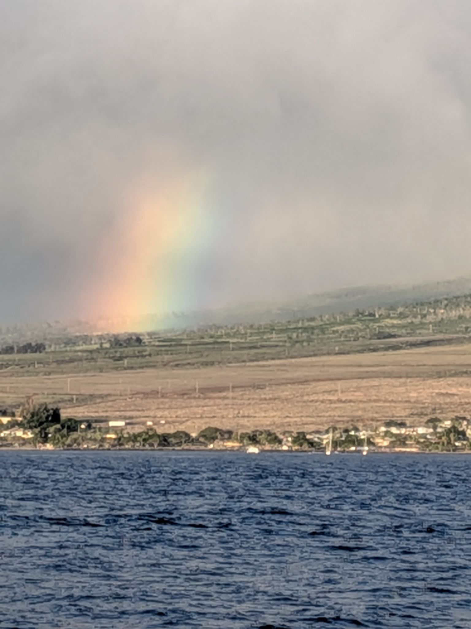 PXL 20260305 040203052