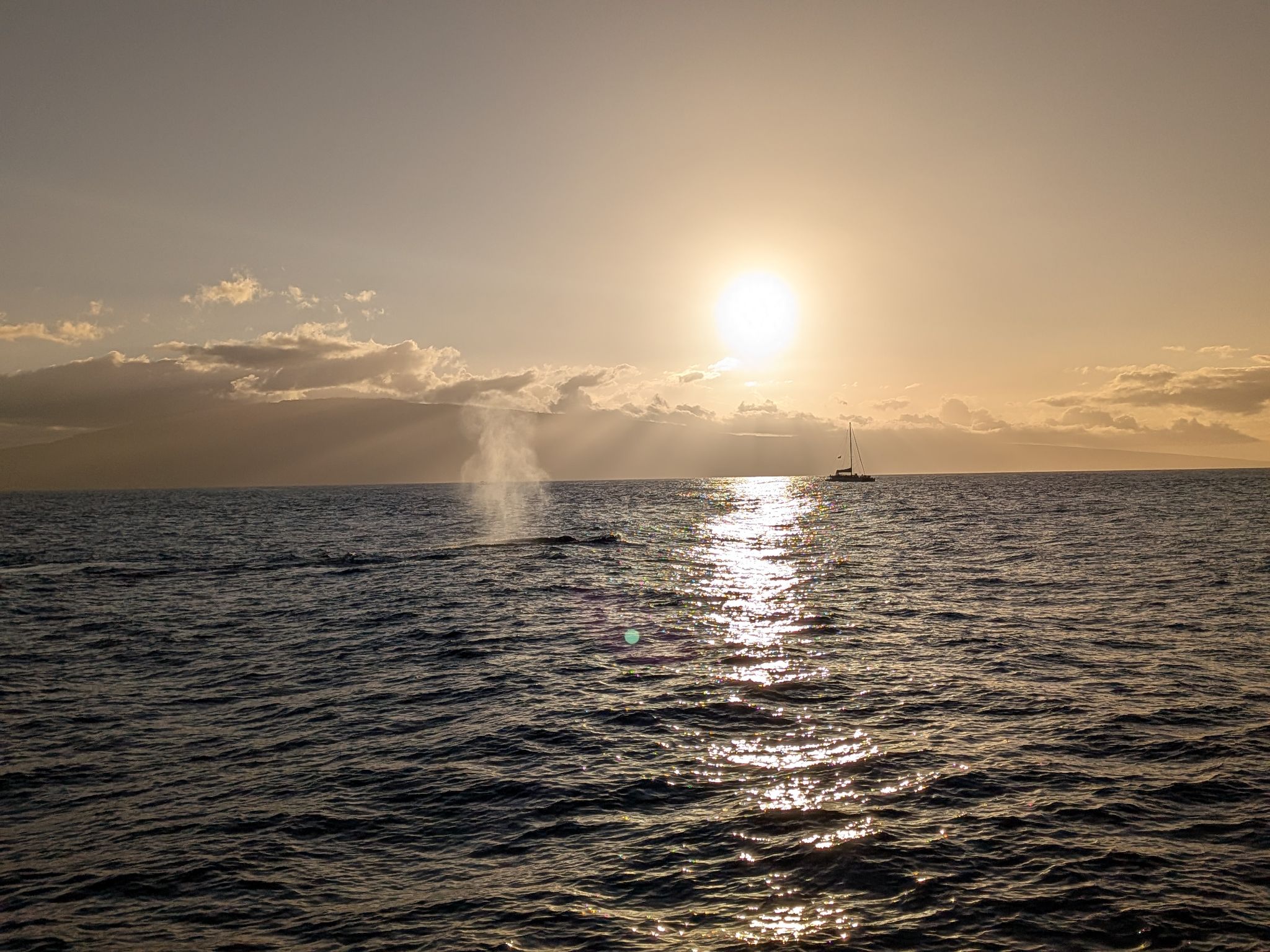 PXL 20260305 040244024.MP