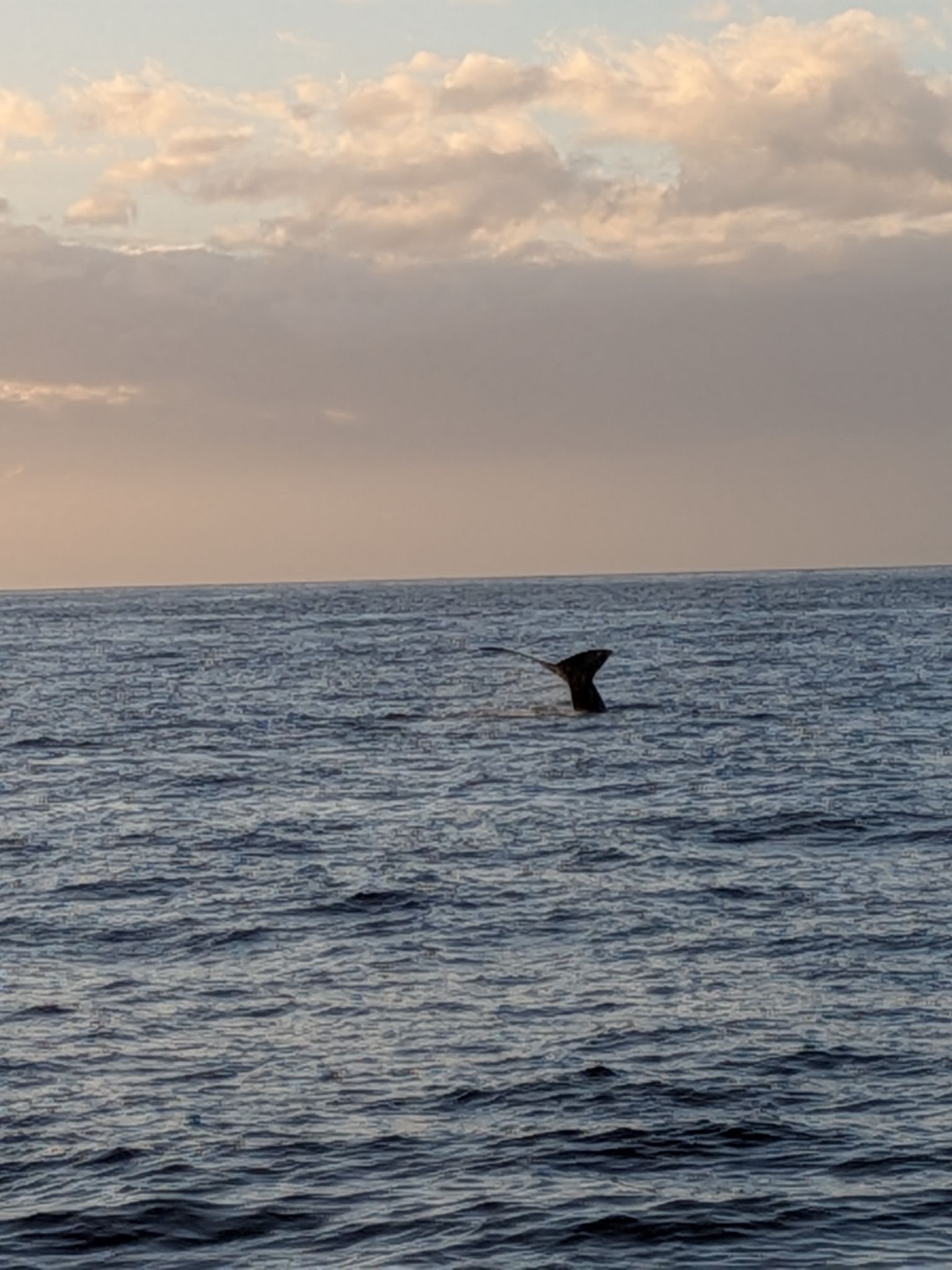 PXL 20260305 040942146