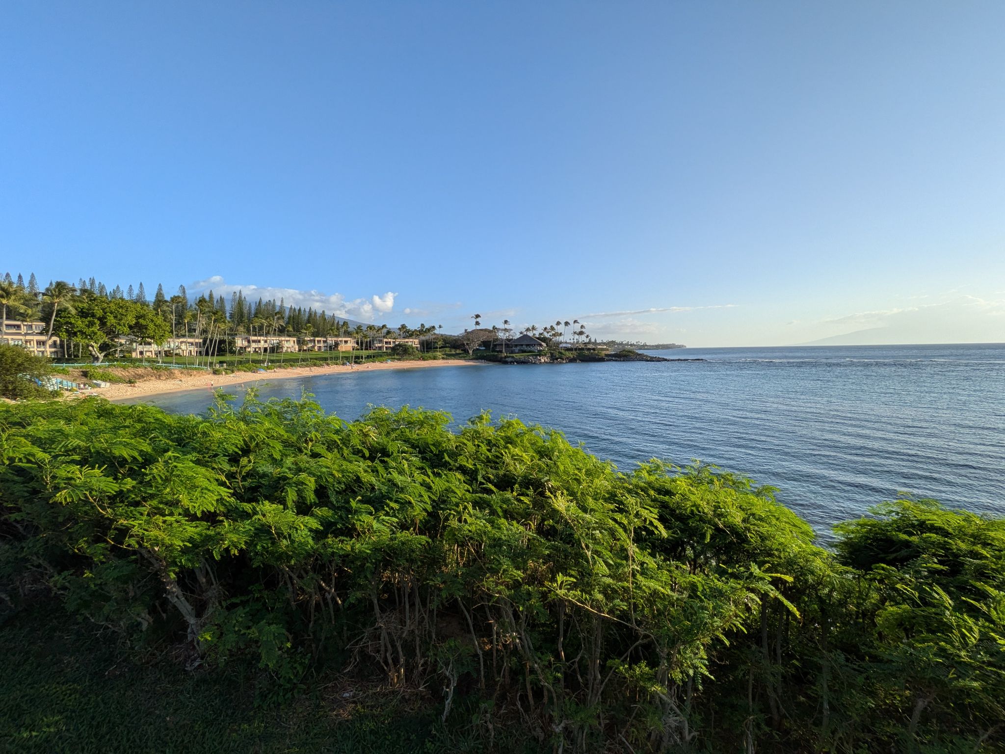 PXL 20260306 033629635