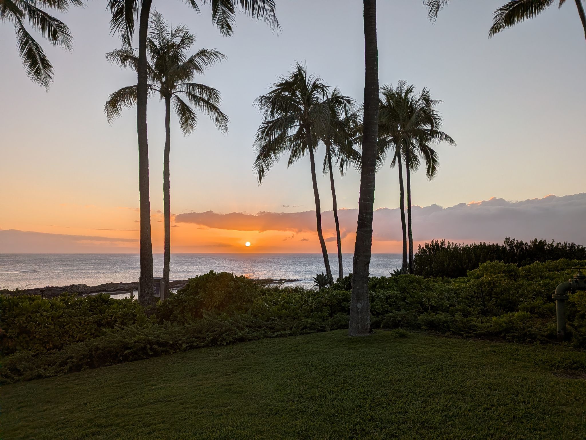 PXL 20260306 042620518