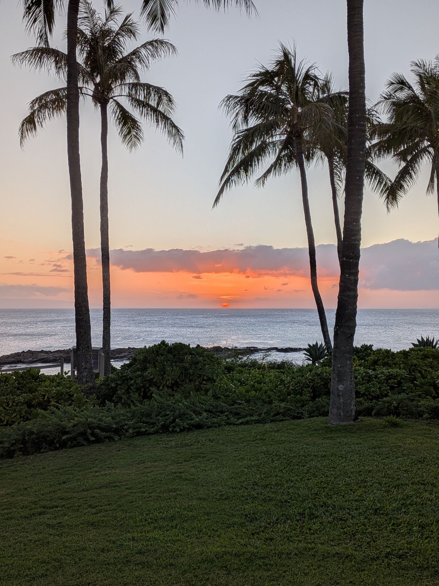 PXL 20260306 043014207