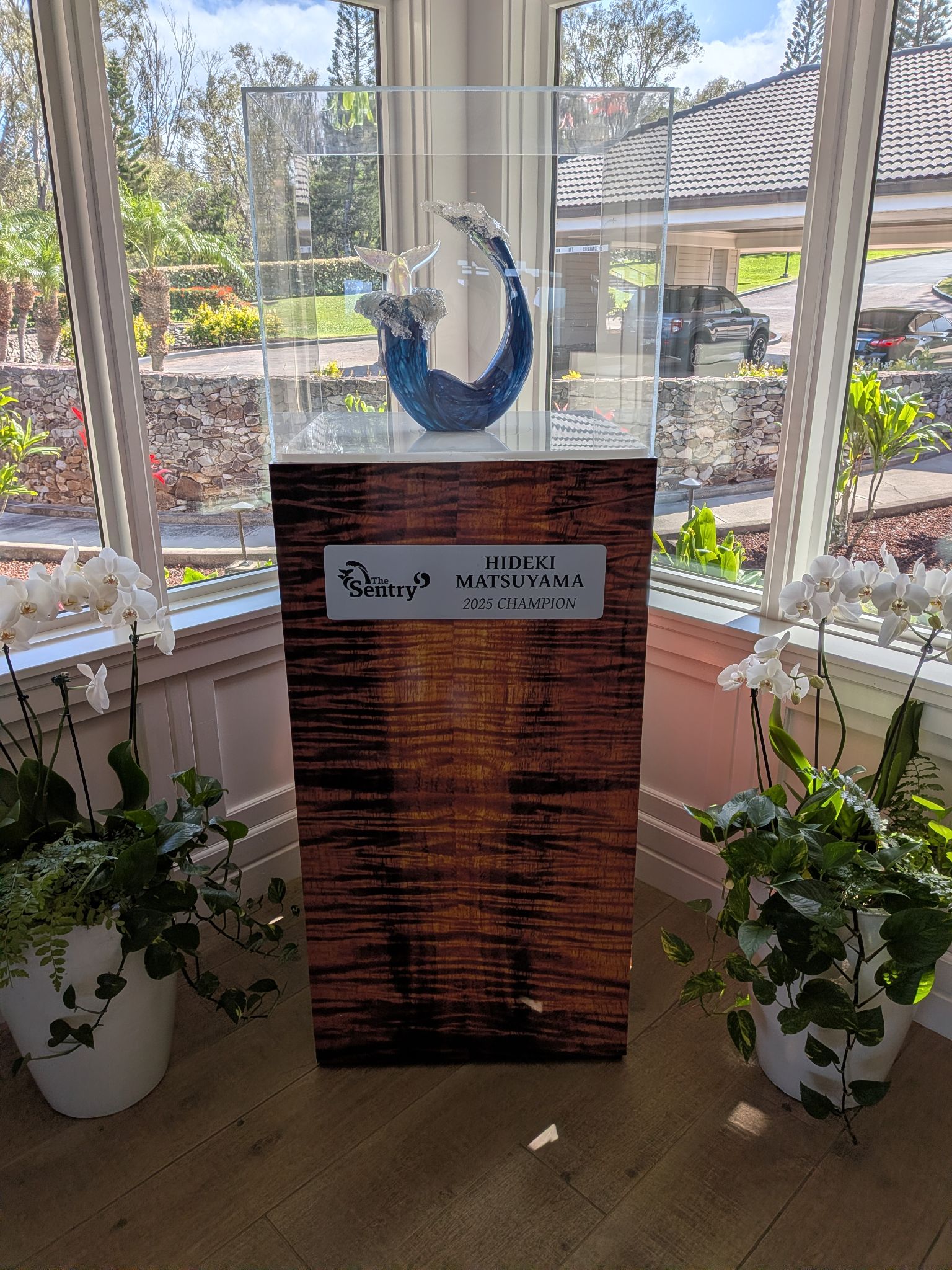 PXL 20260306 201616413