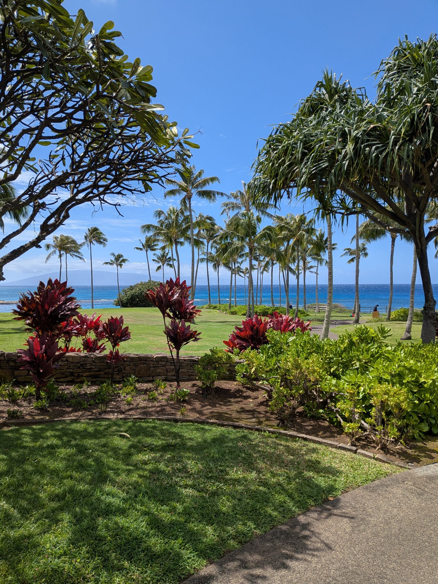 PXL 20260307 222818236.MP