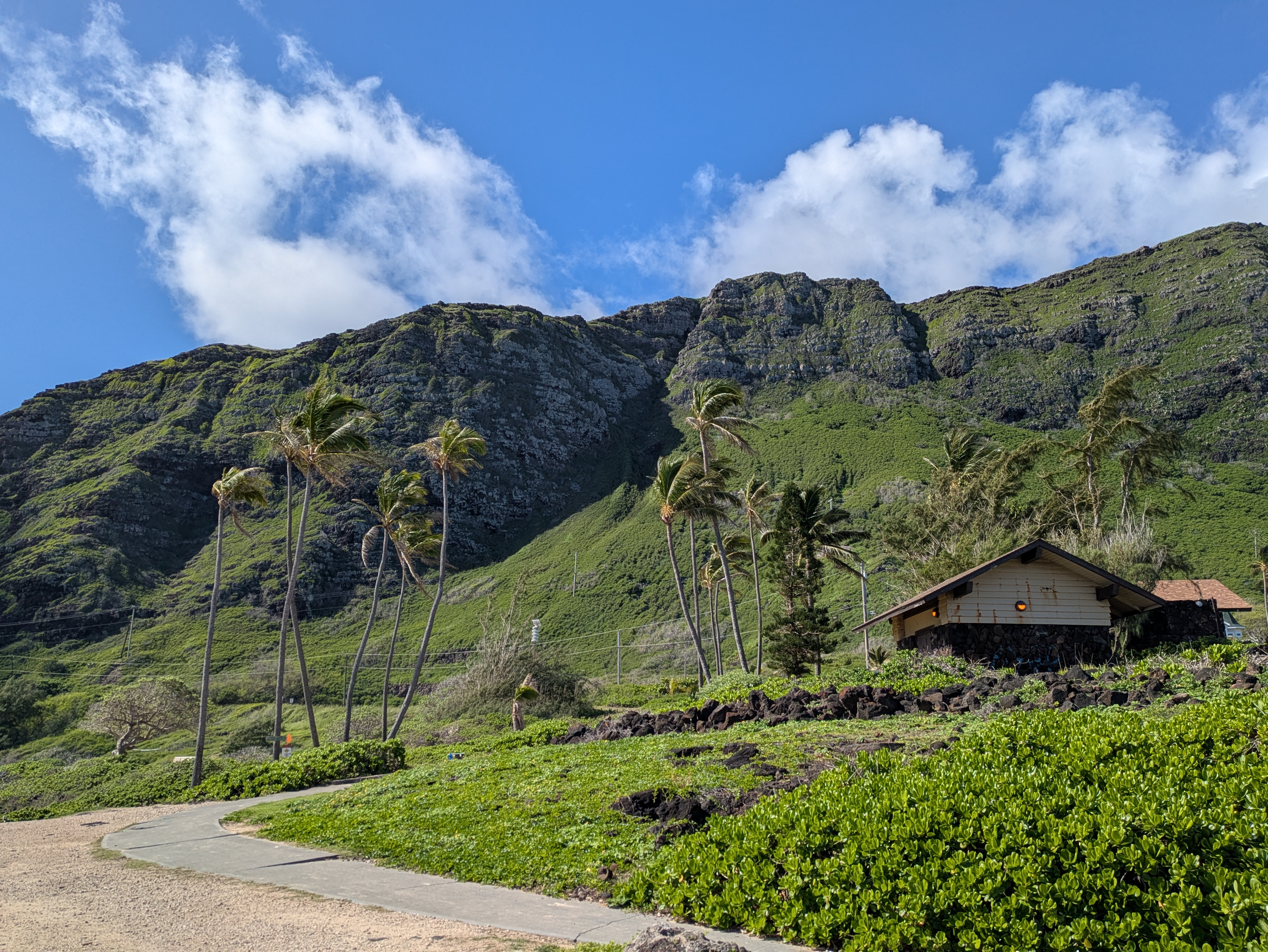 PXL 20250221 202300098