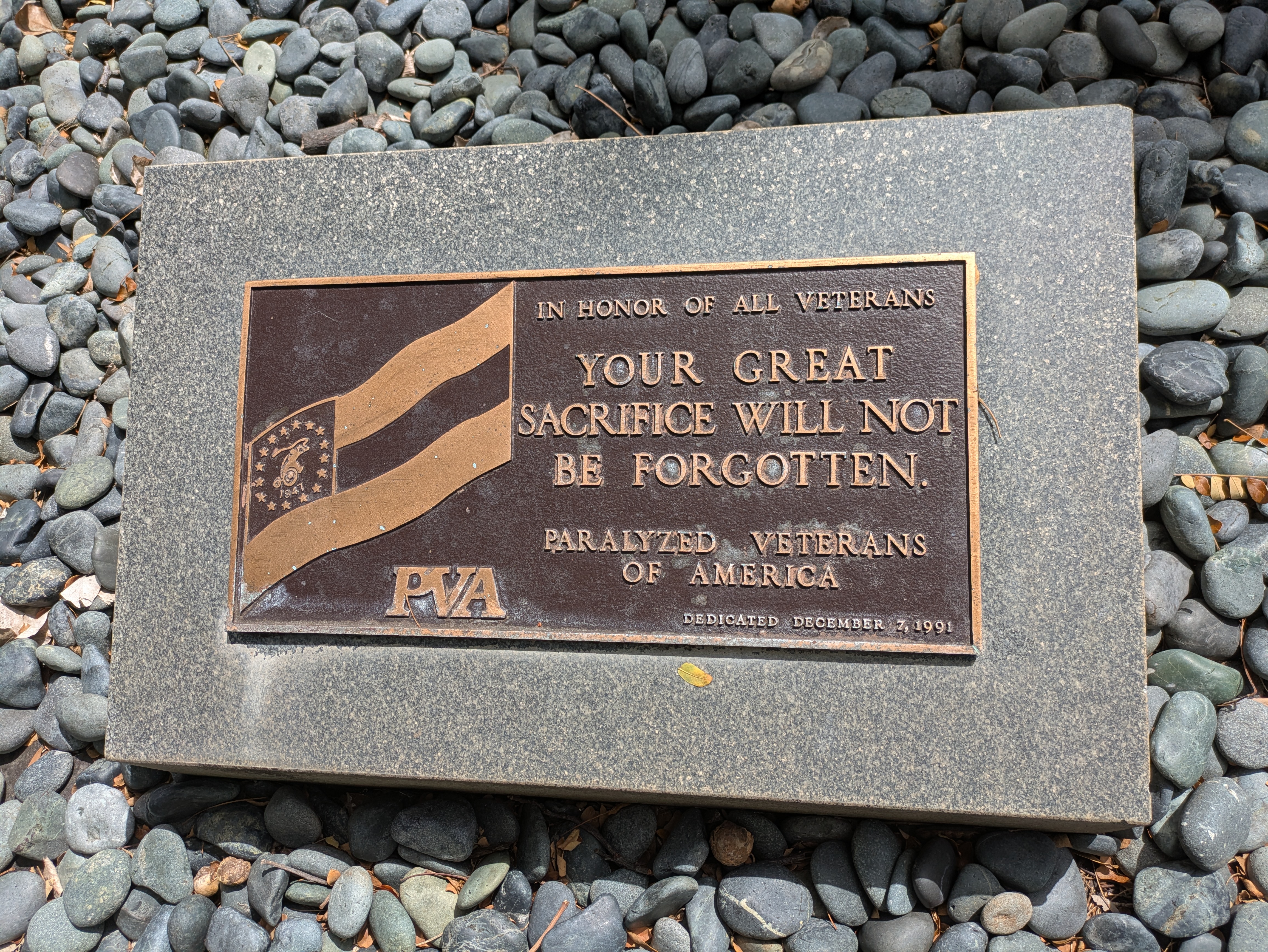 PXL 20250221 225710113.MP