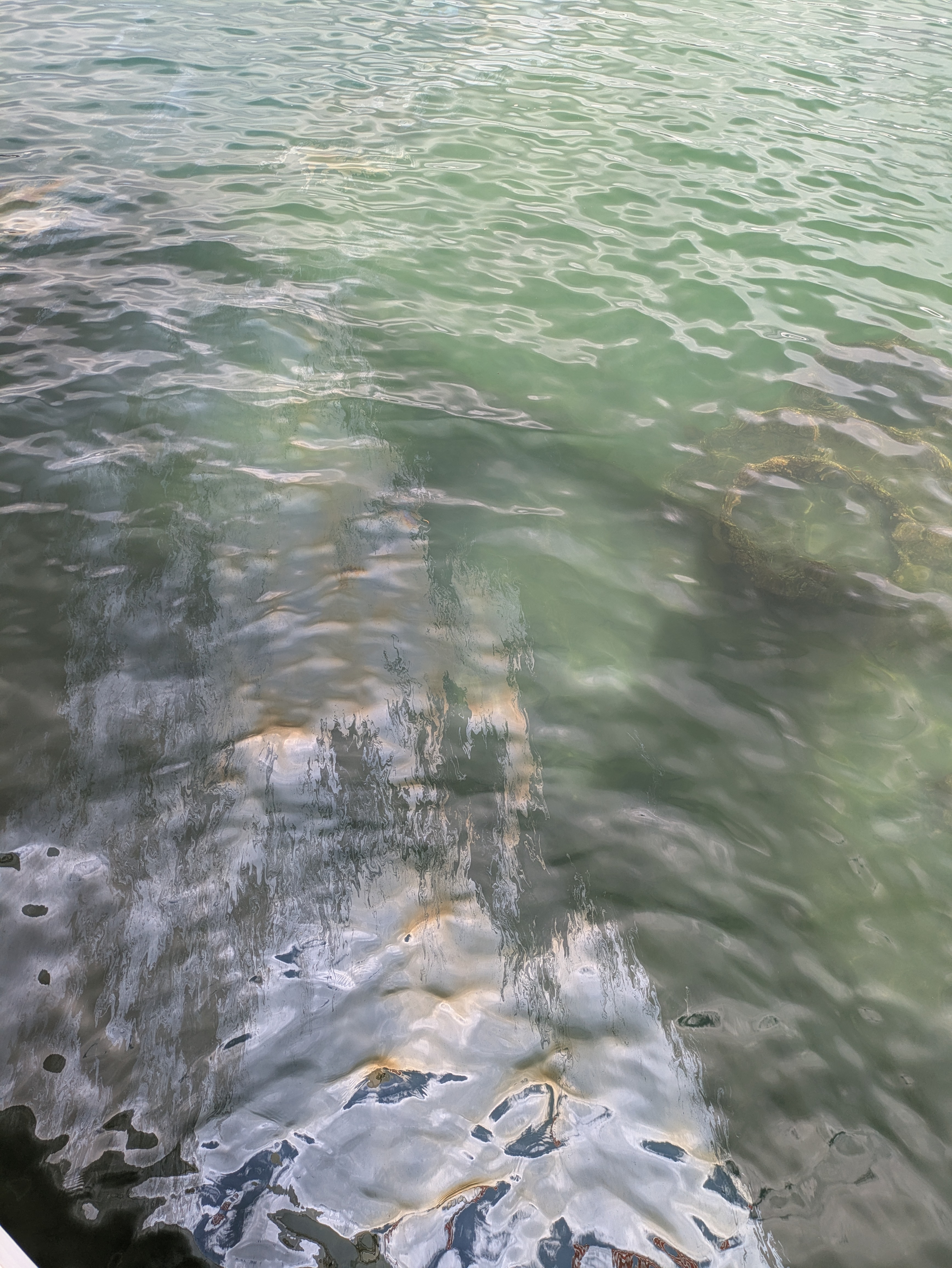 PXL 20250222 003212751.MP