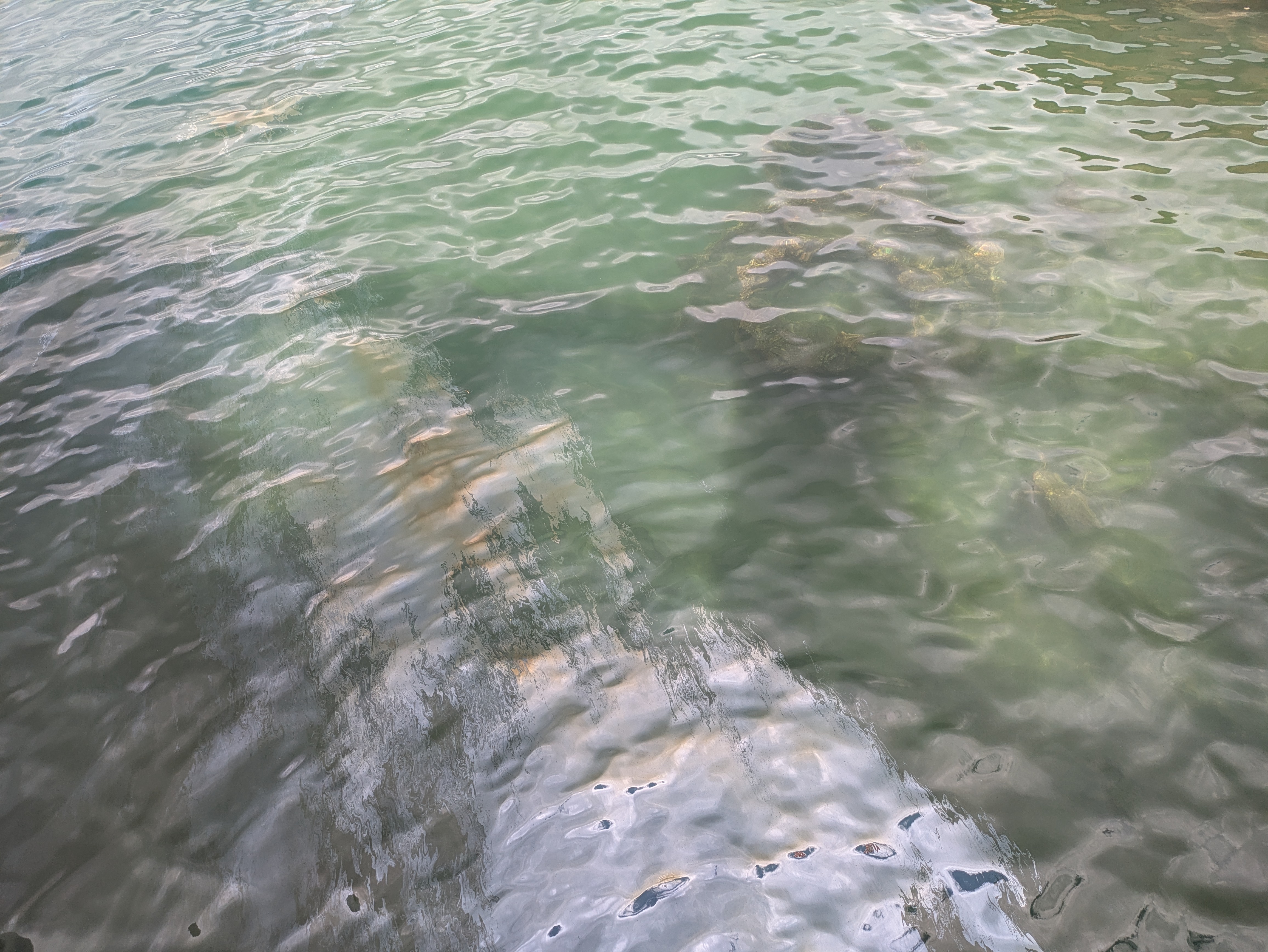 PXL 20250222 003218694