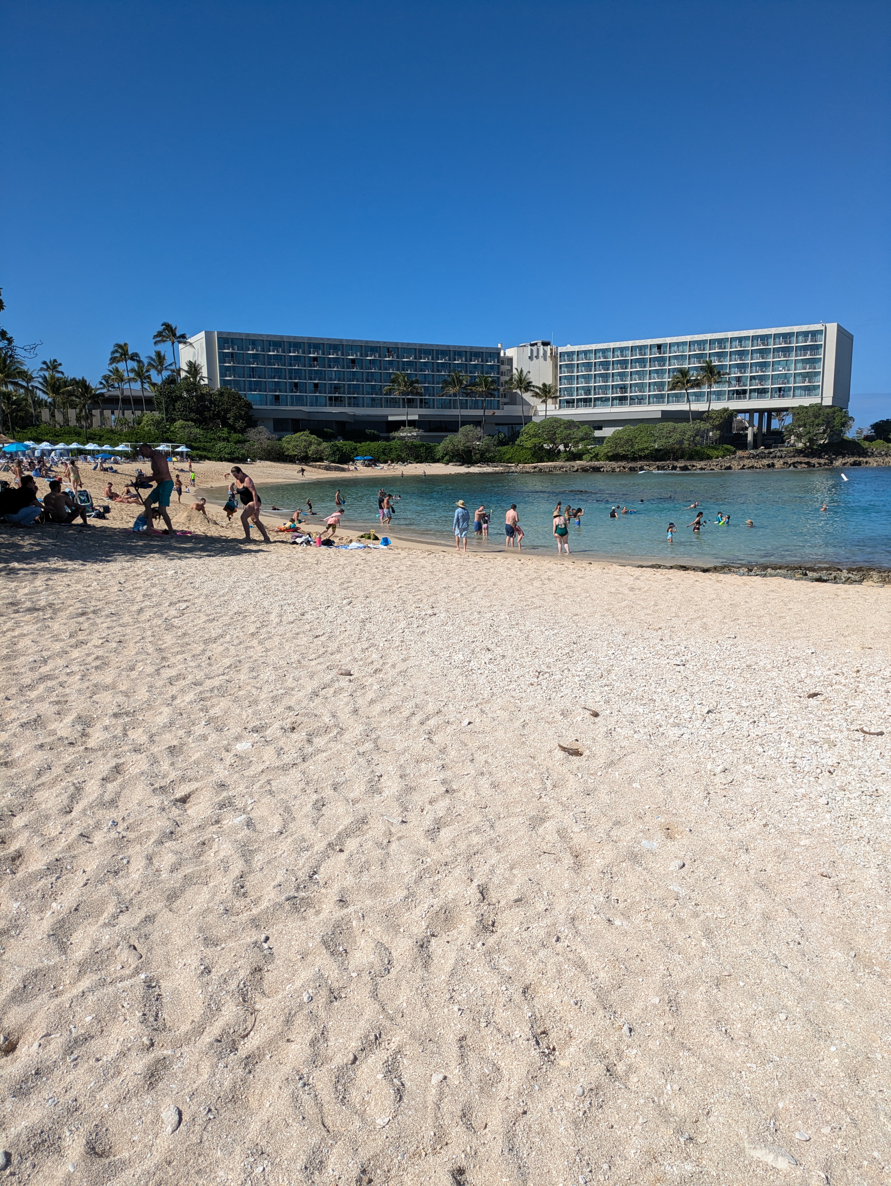 PXL 20250222 204204852