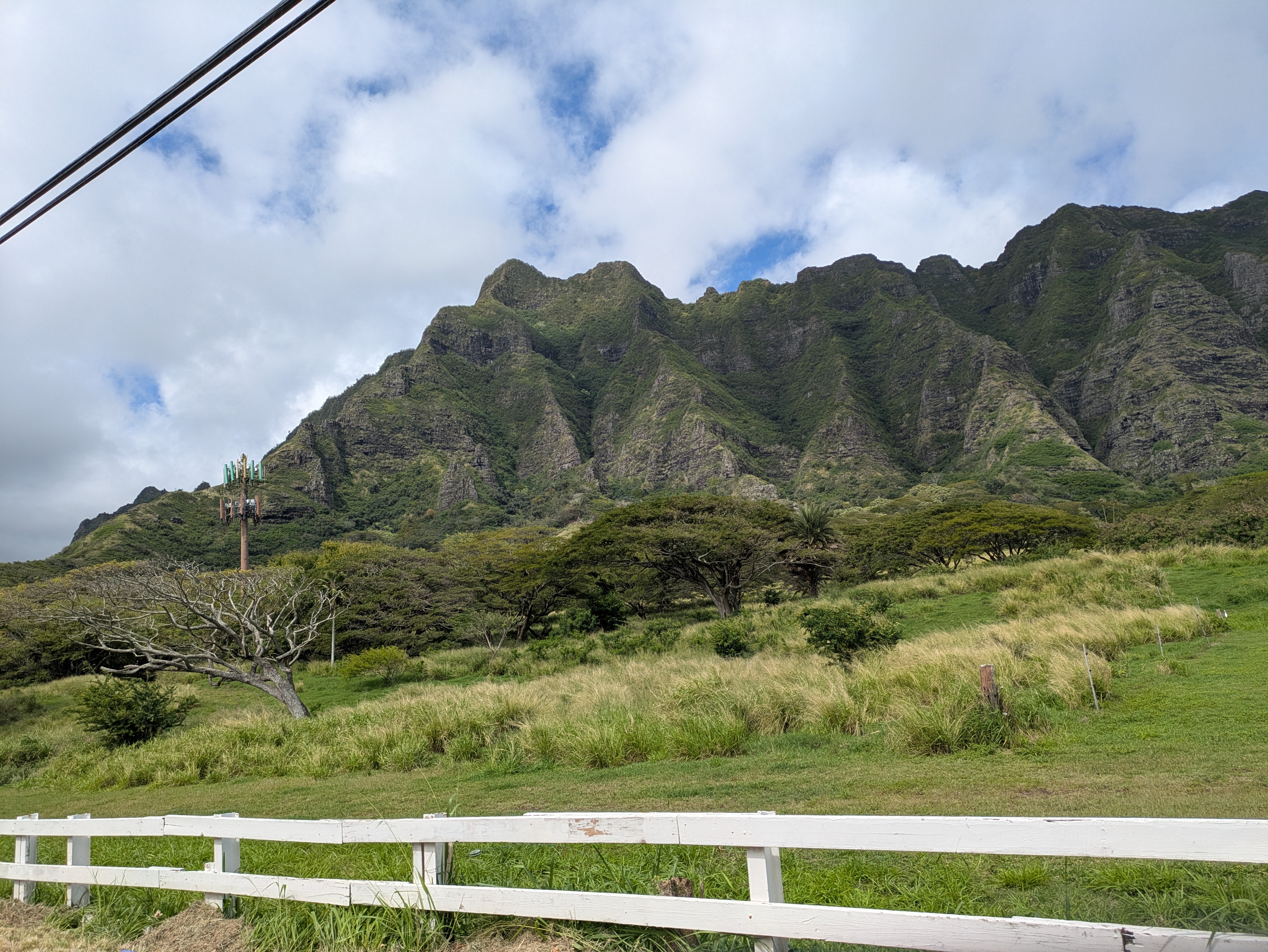 PXL 20250222 215602745