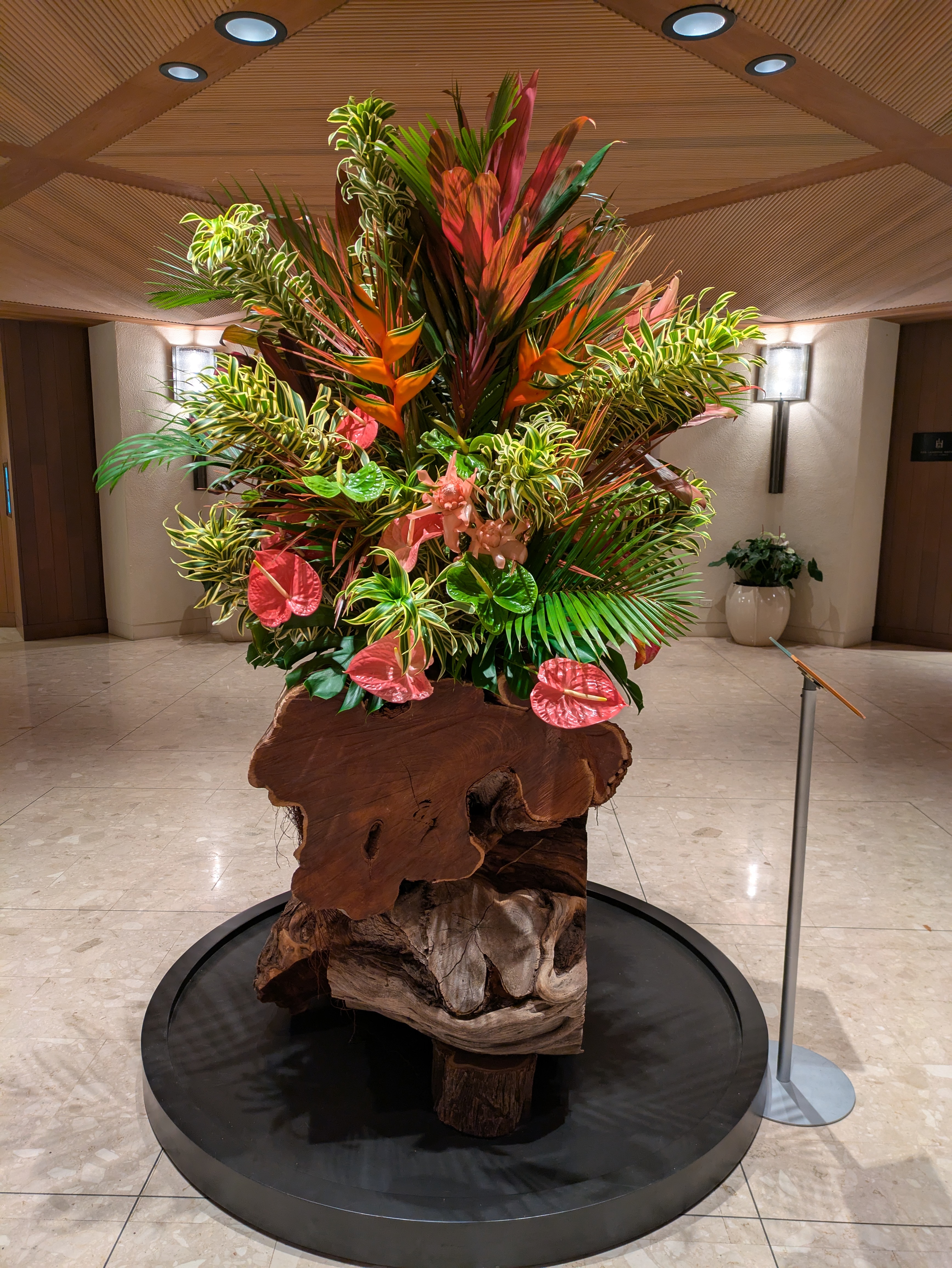 PXL 20250223 070140569