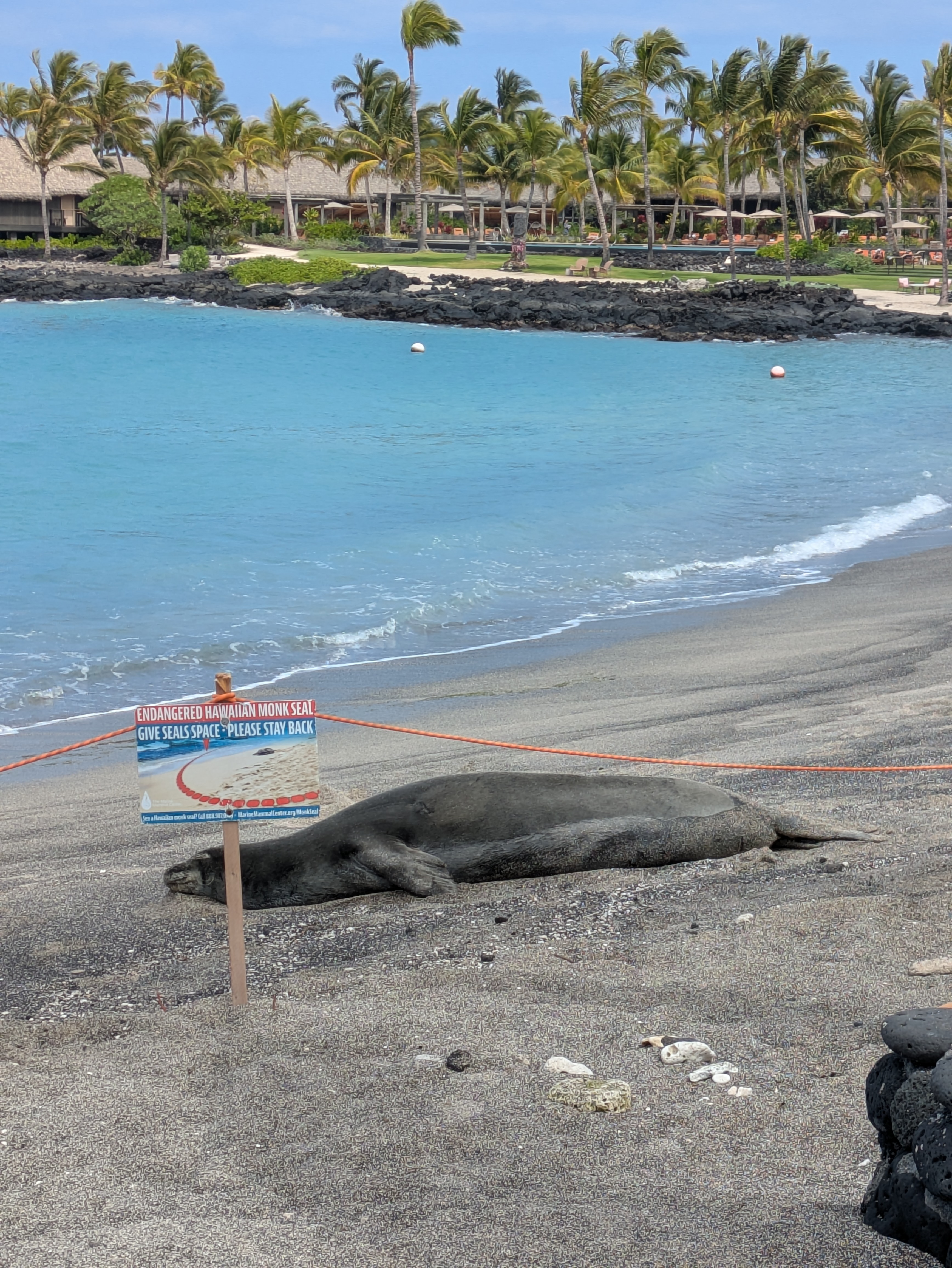 PXL 20250224 221543703