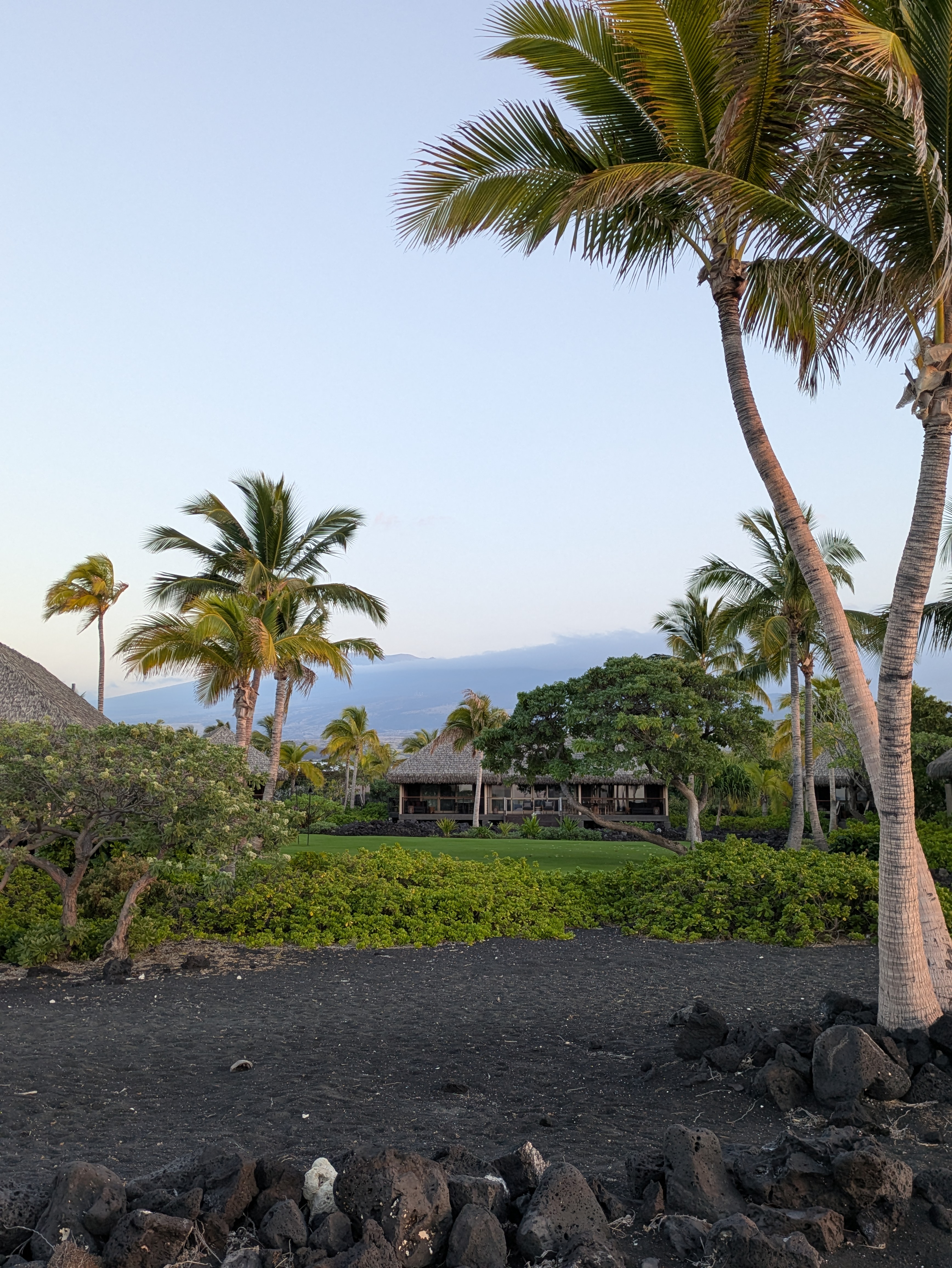 PXL 20250226 042002138