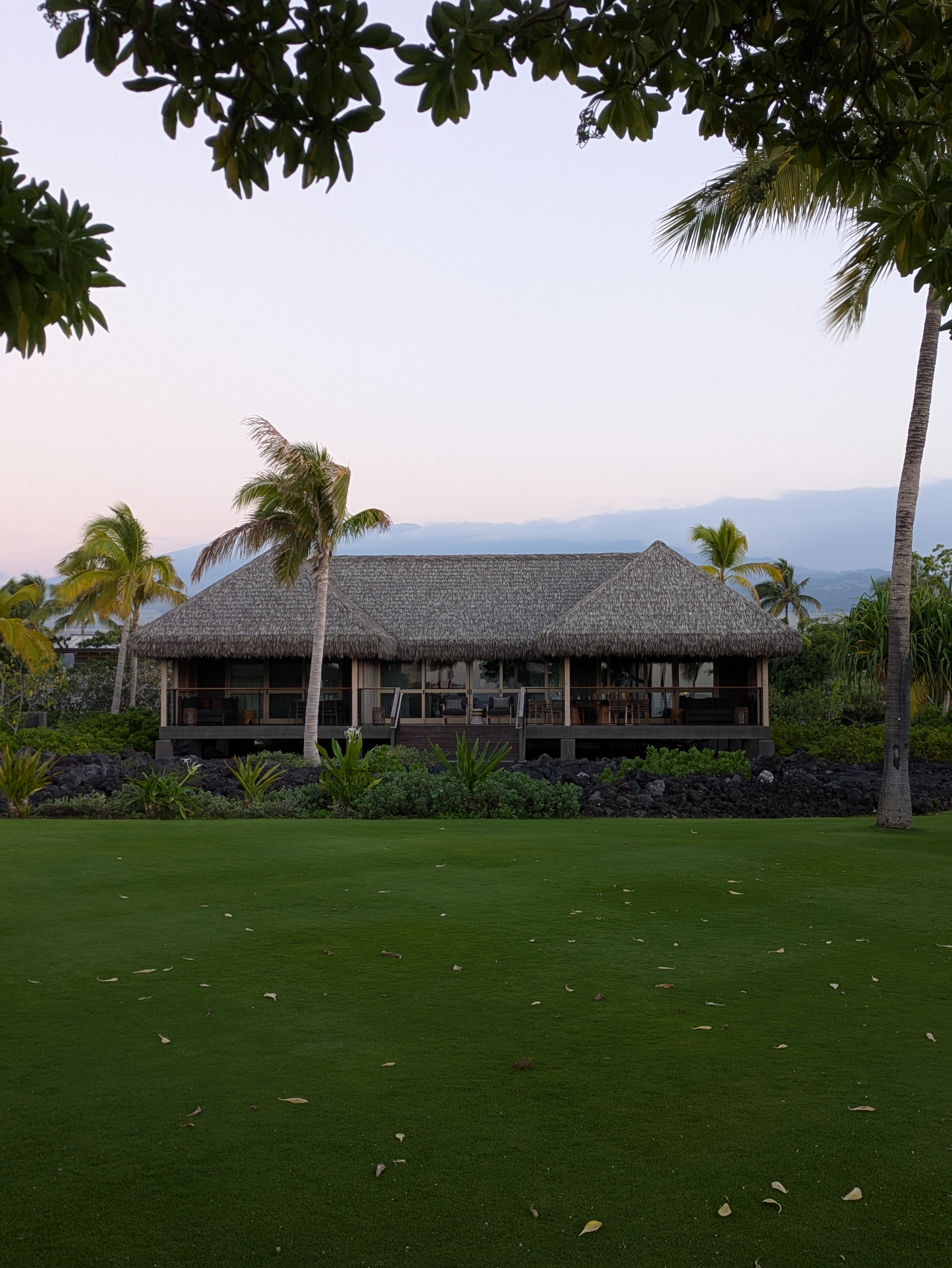 PXL 20250226 043049644