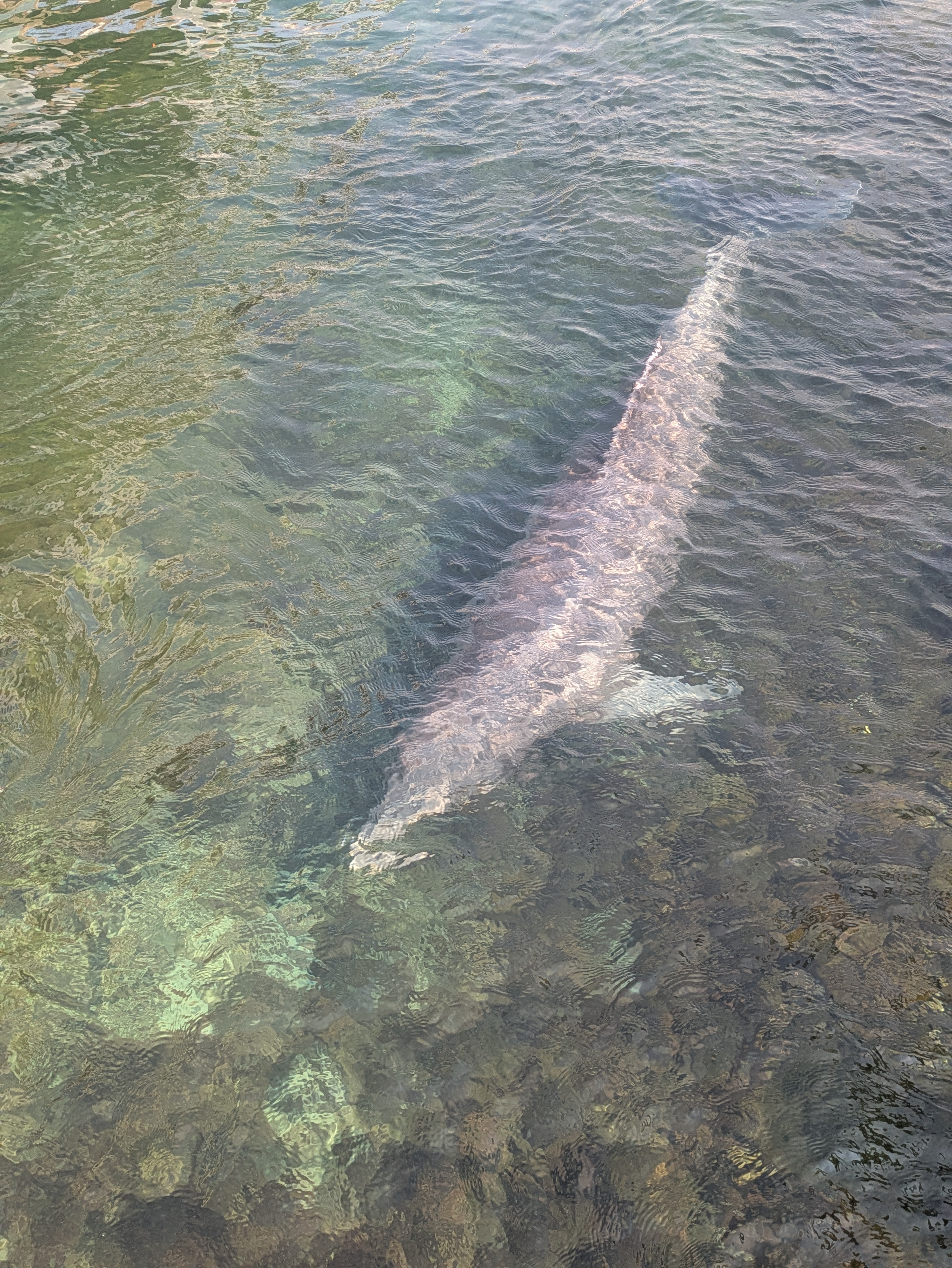 PXL 20250227 001711280