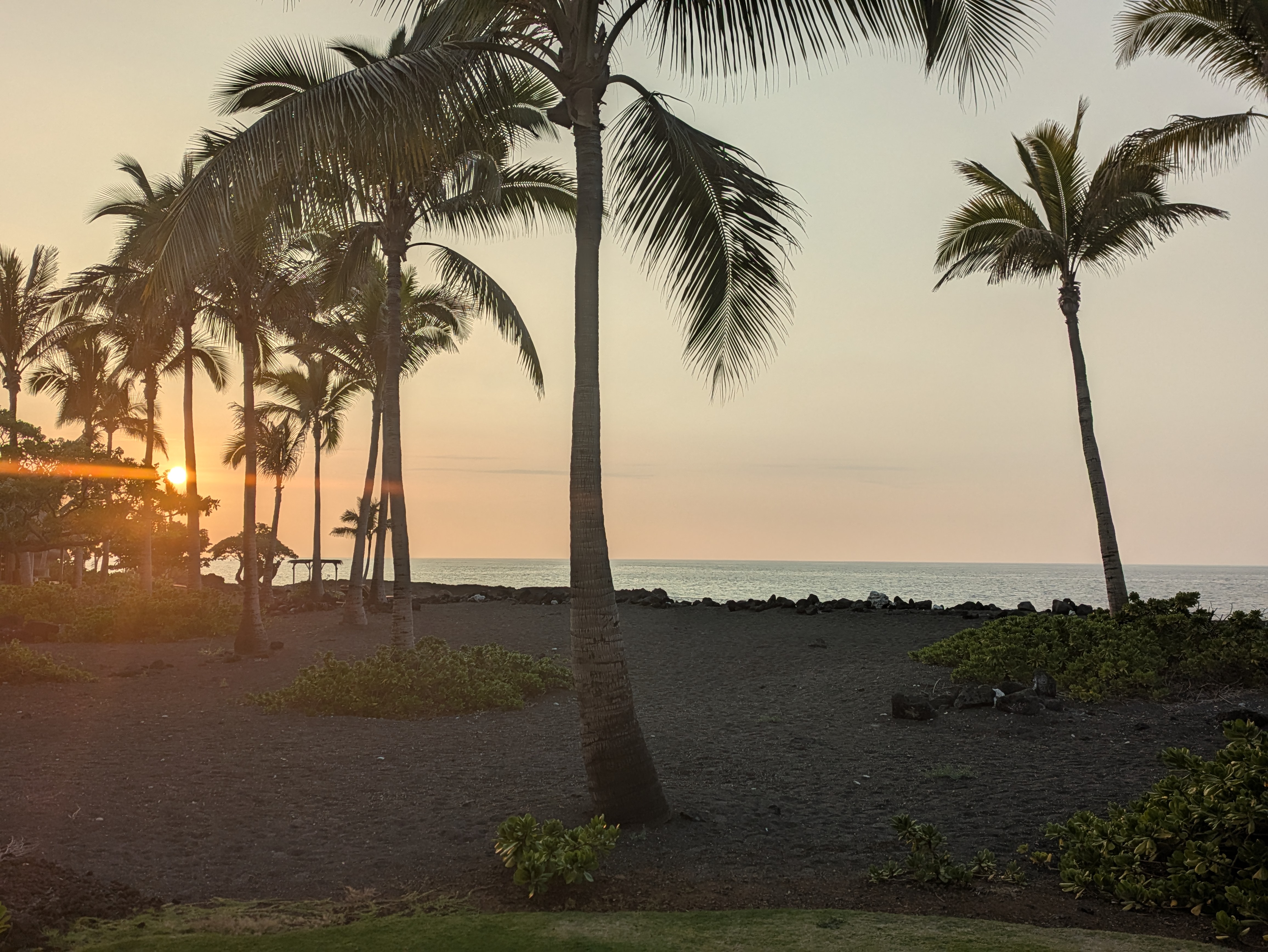 PXL 20250228 041027730