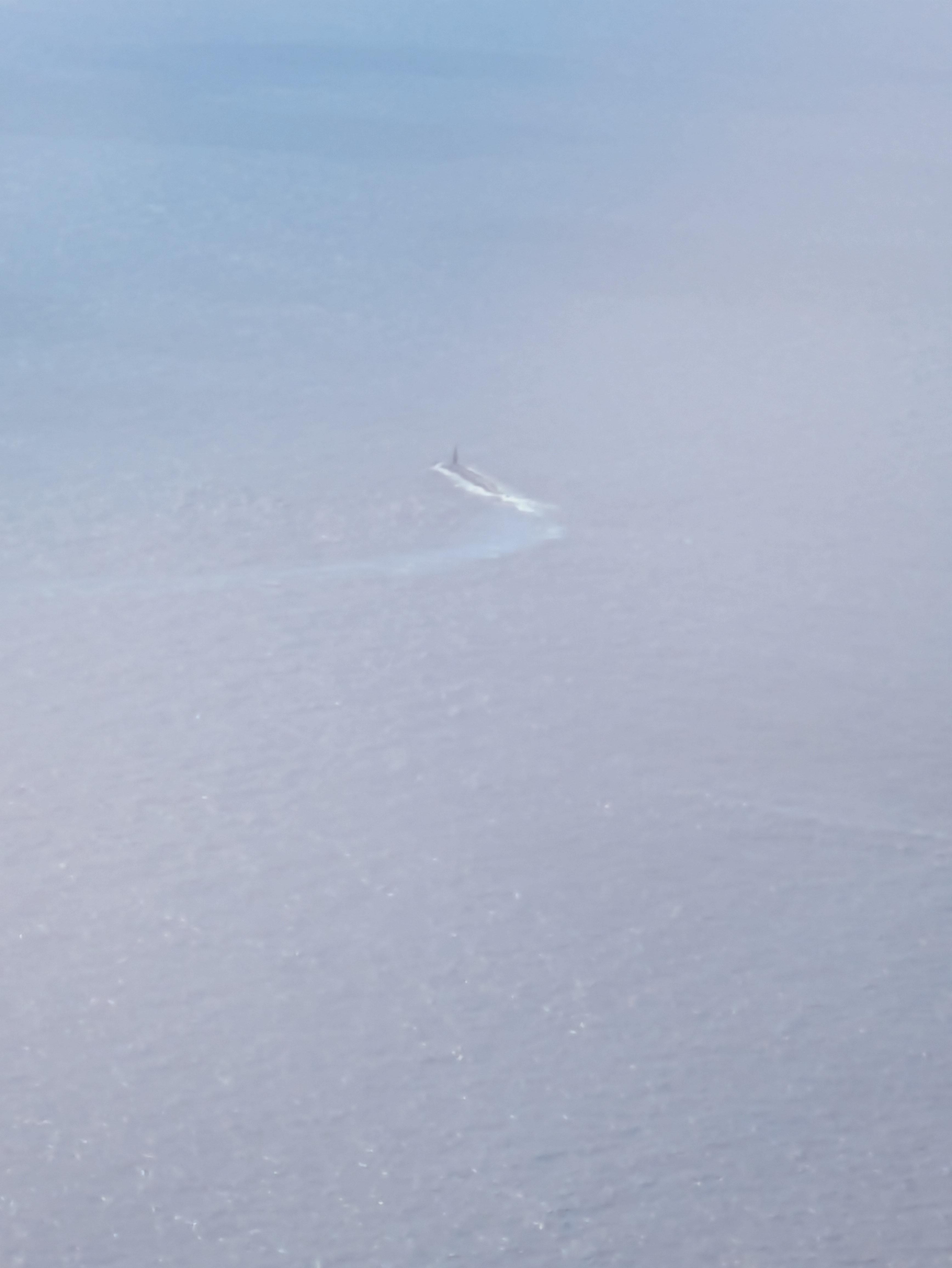 PXL 20250301 004553334