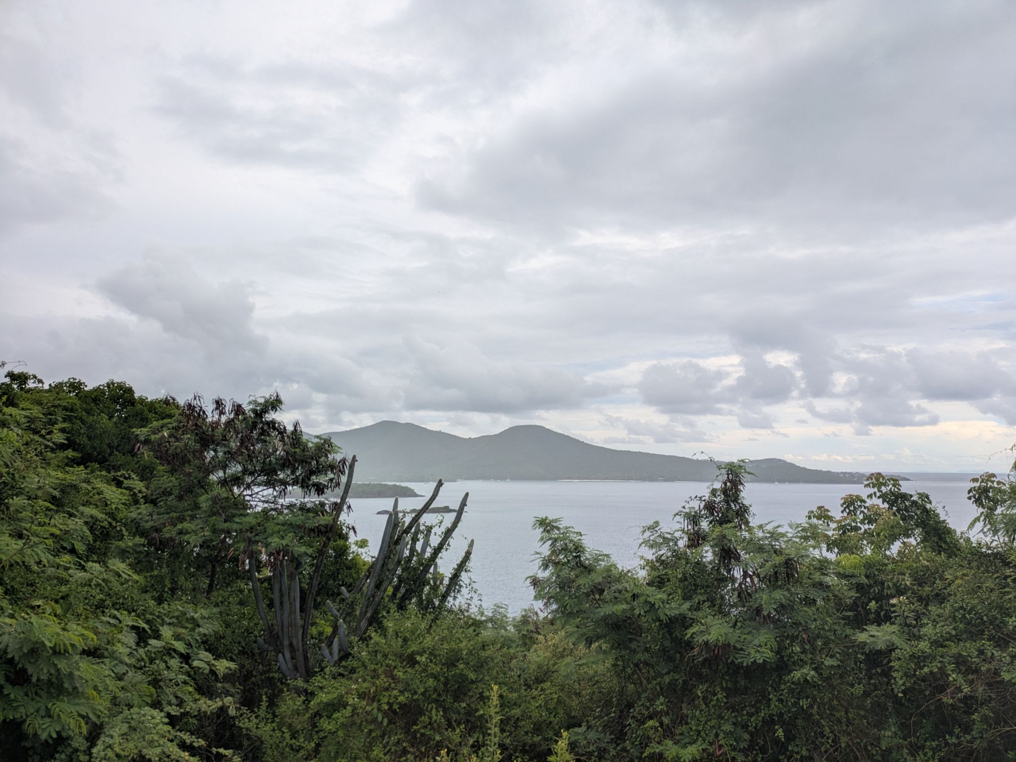 PXL 20250506 194238214