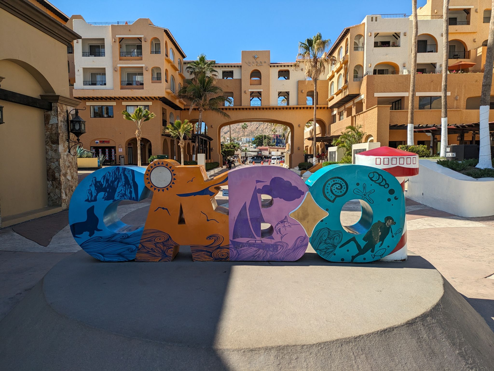 PXL 20240201 212433524