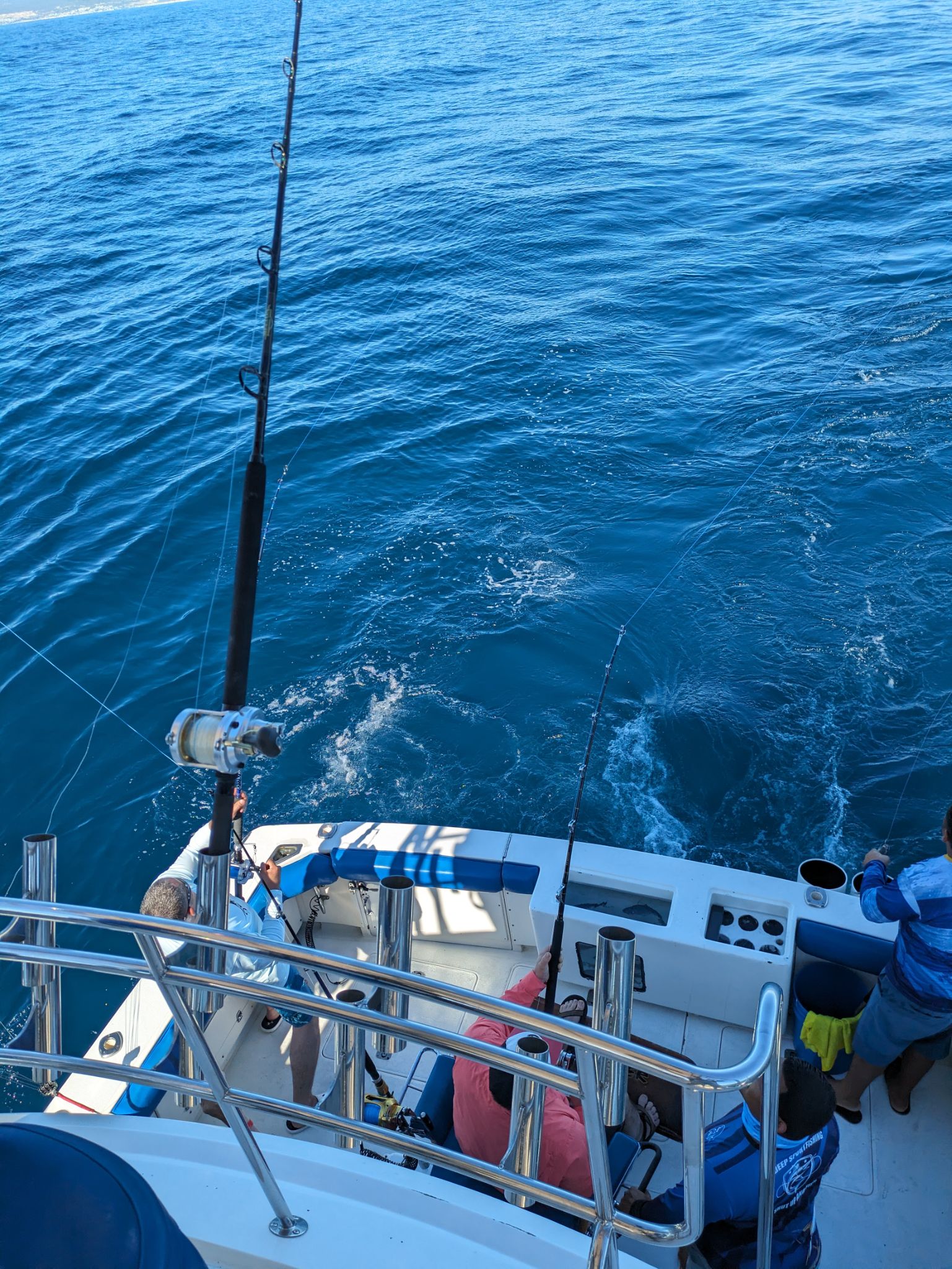 PXL 20240202 174257197