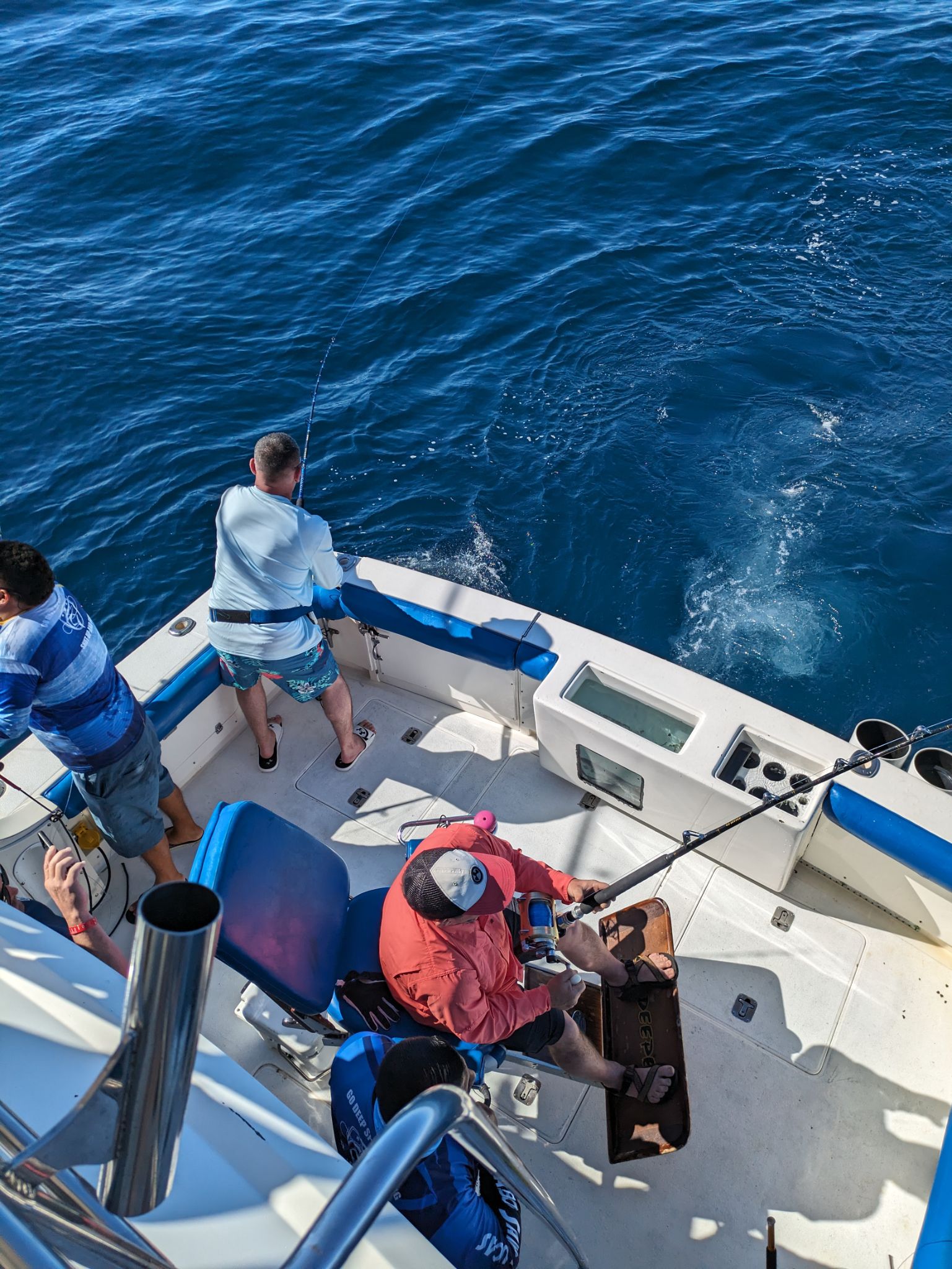 PXL 20240202 174625392