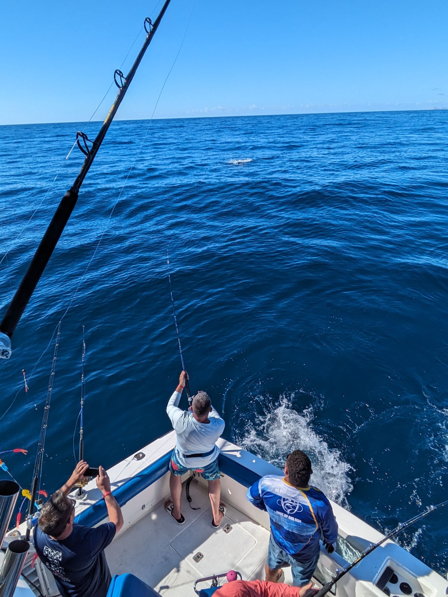 PXL 20240202 175219989