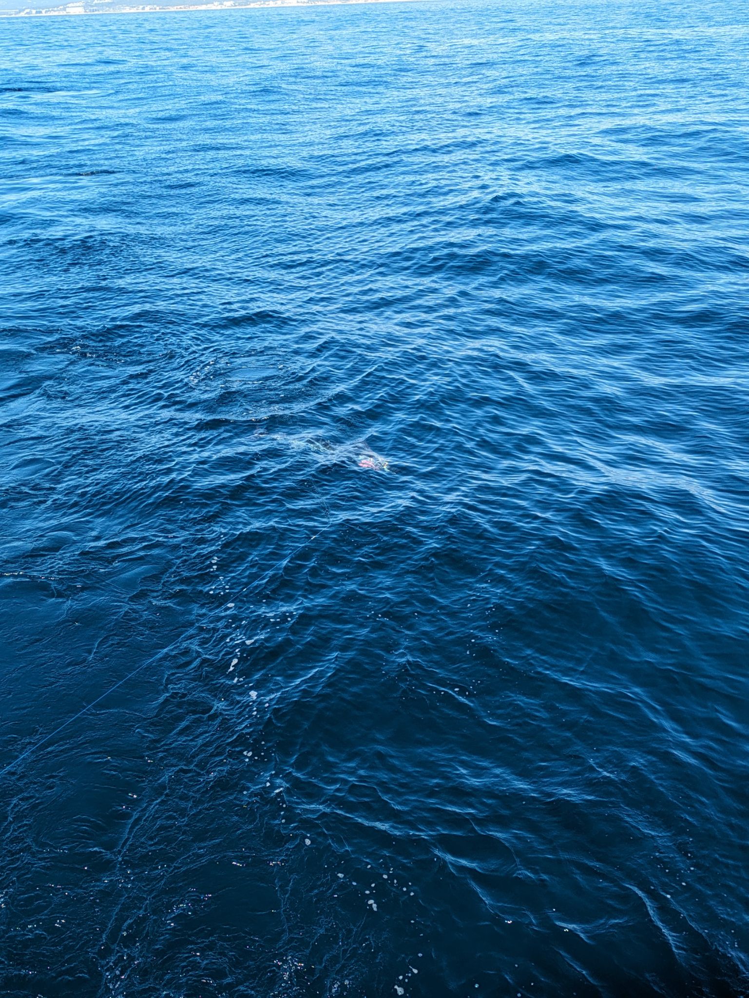 PXL 20240202 175554143