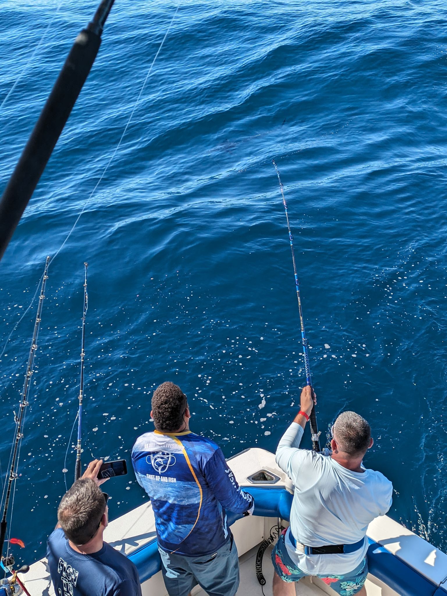 PXL 20240202 175620986