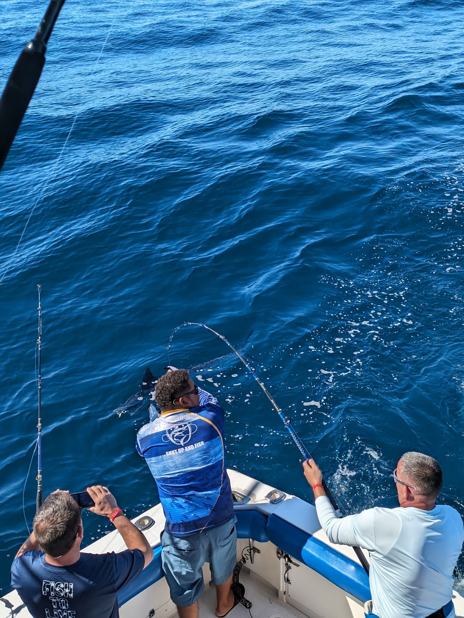 PXL 20240202 175657300